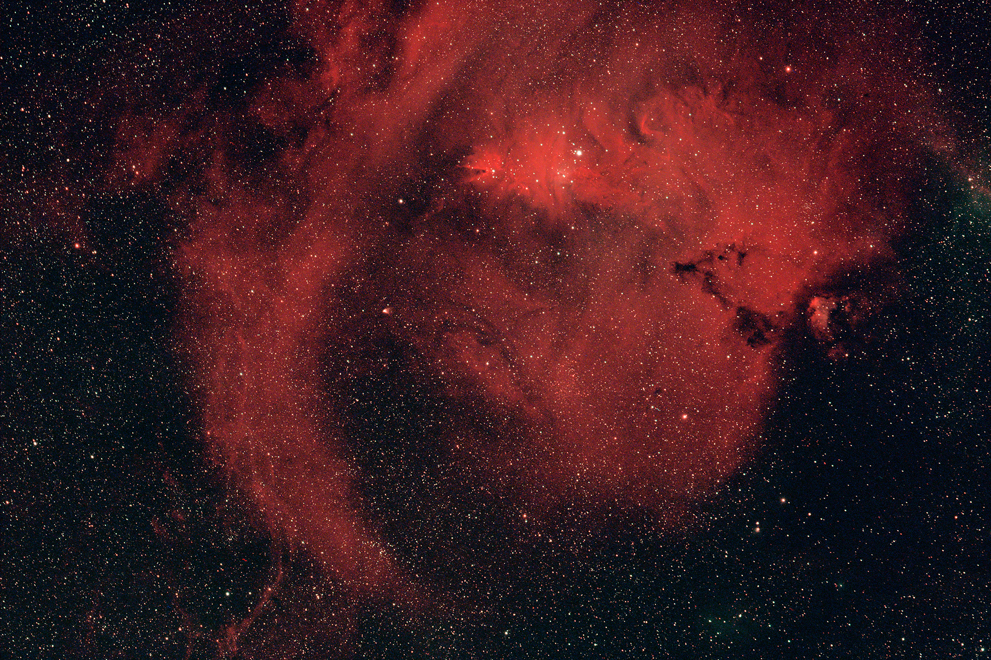 NGC2264_240308_SS61_2600MC_180-g100-DSS18-001c2w.jpg