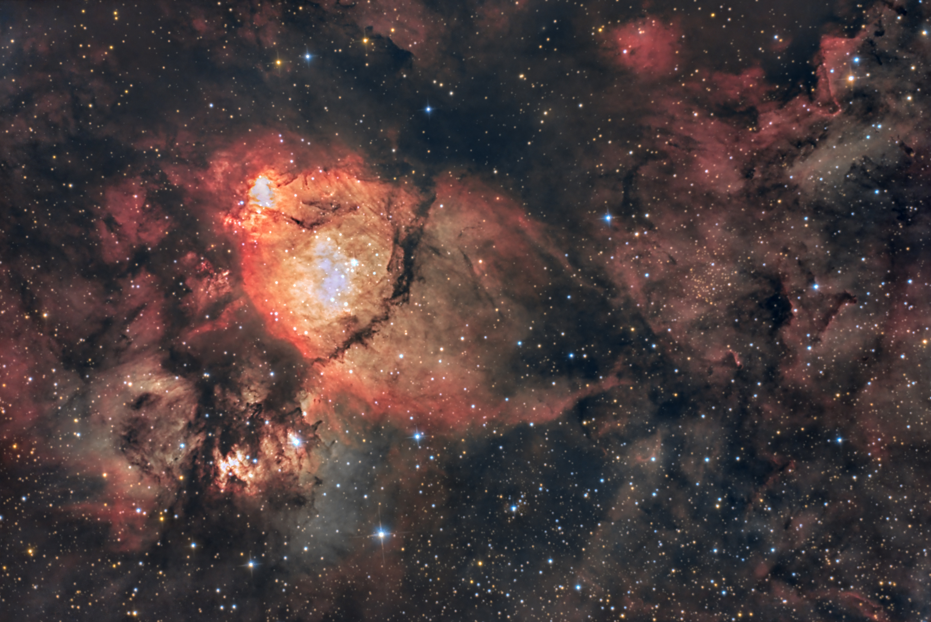 ic1795.jpg