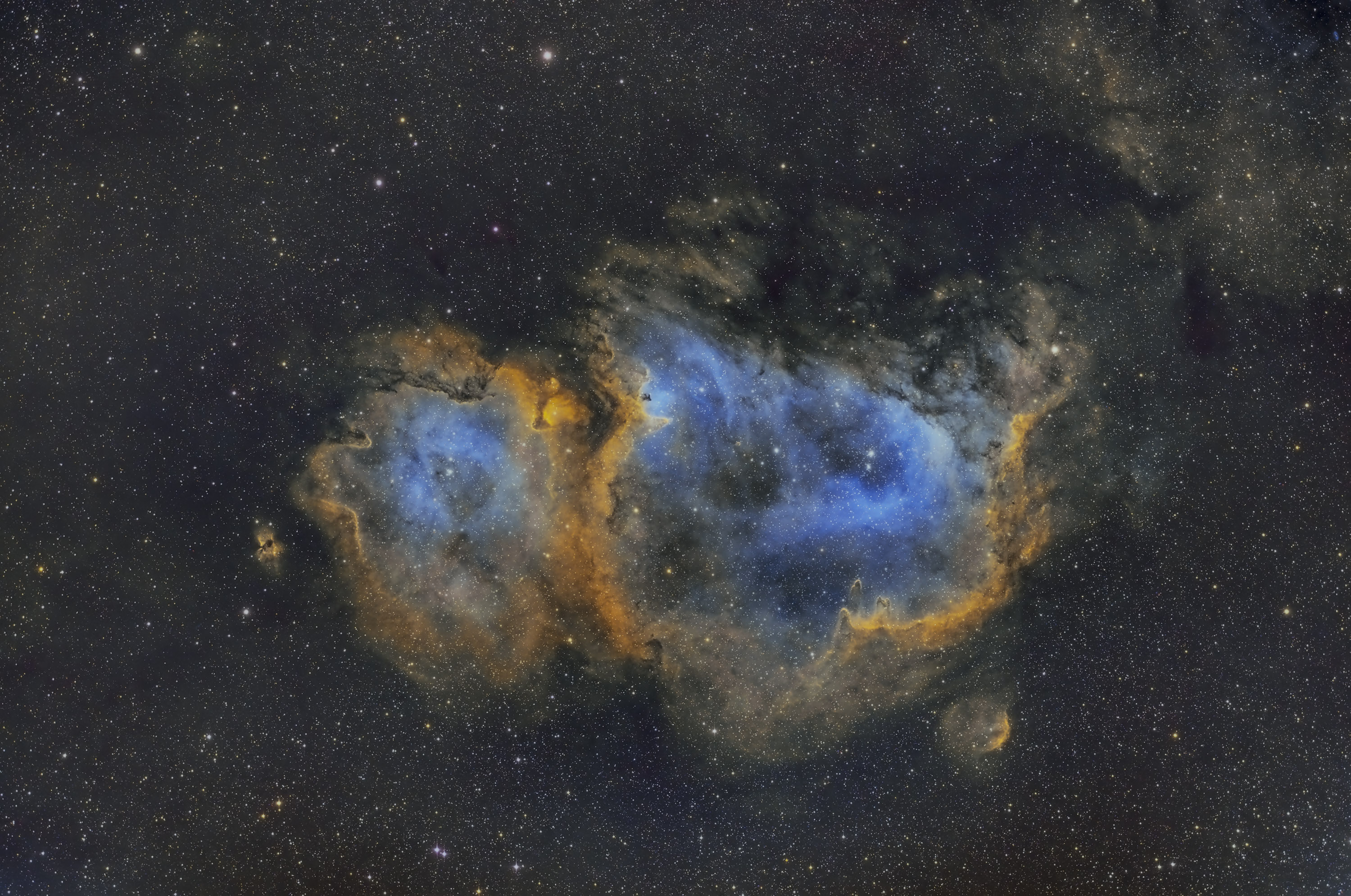 ic1848SHO01.jpg