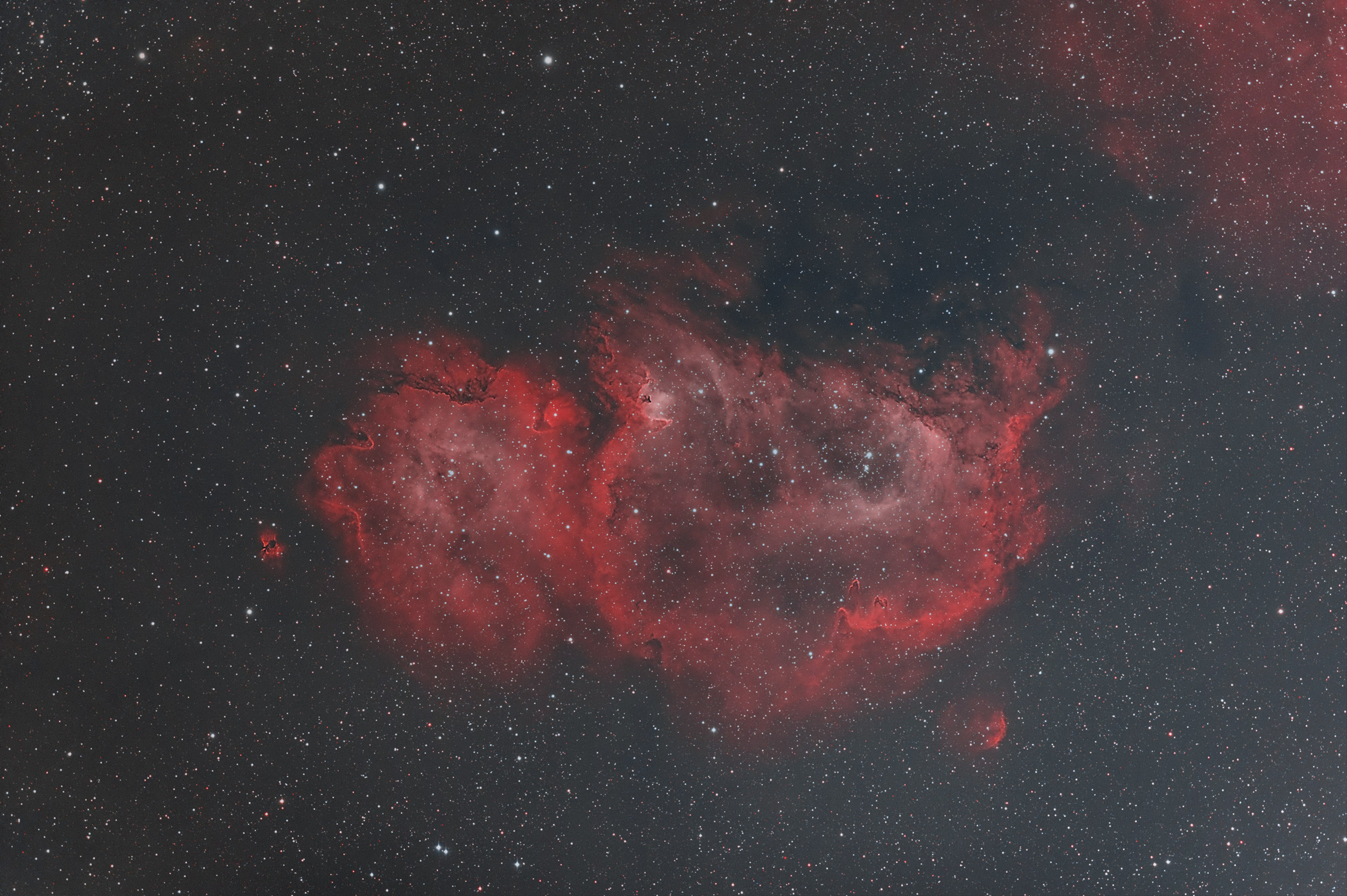 ic1848HOO01.jpg