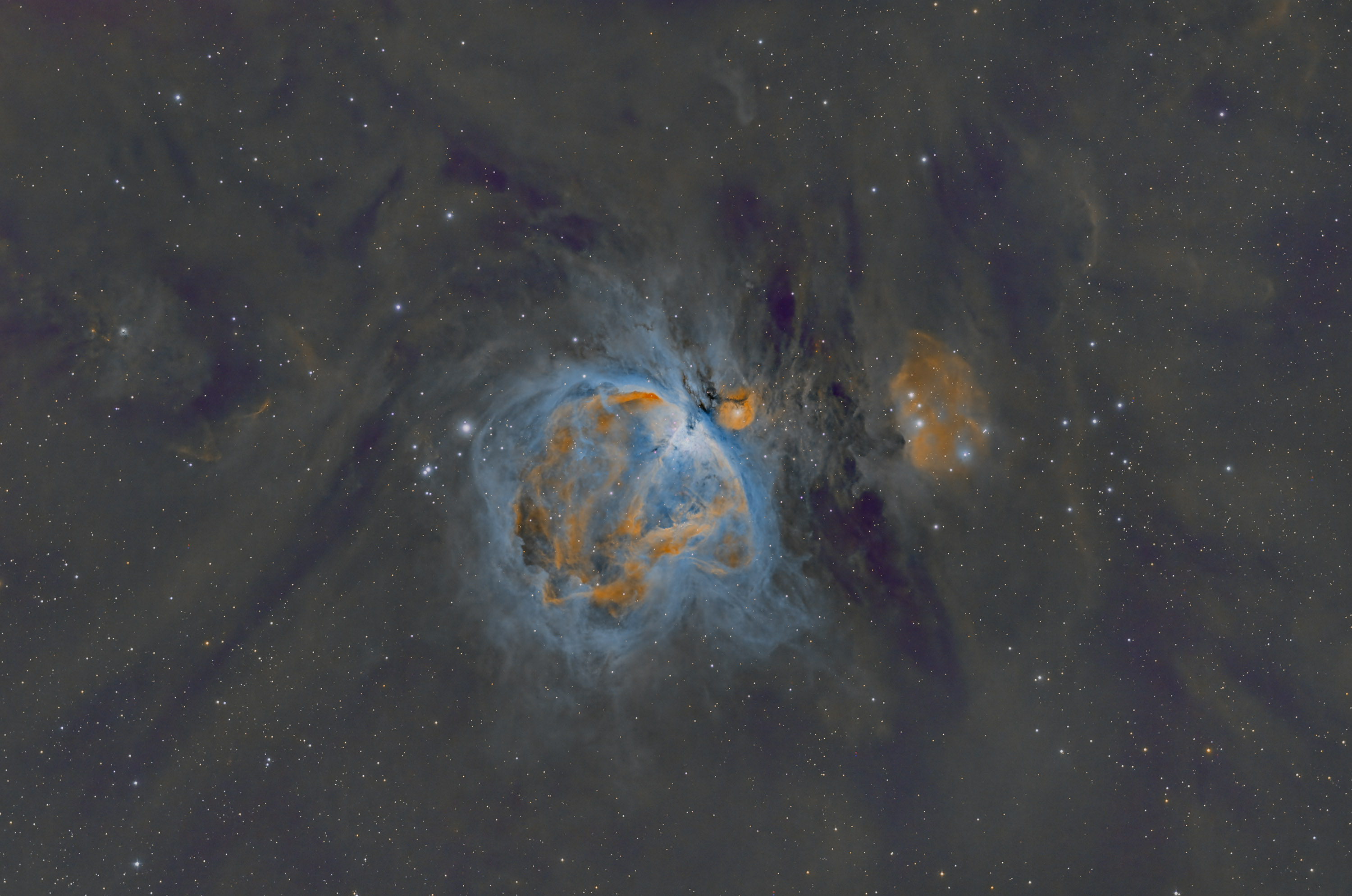 M42_SHO_01.jpg