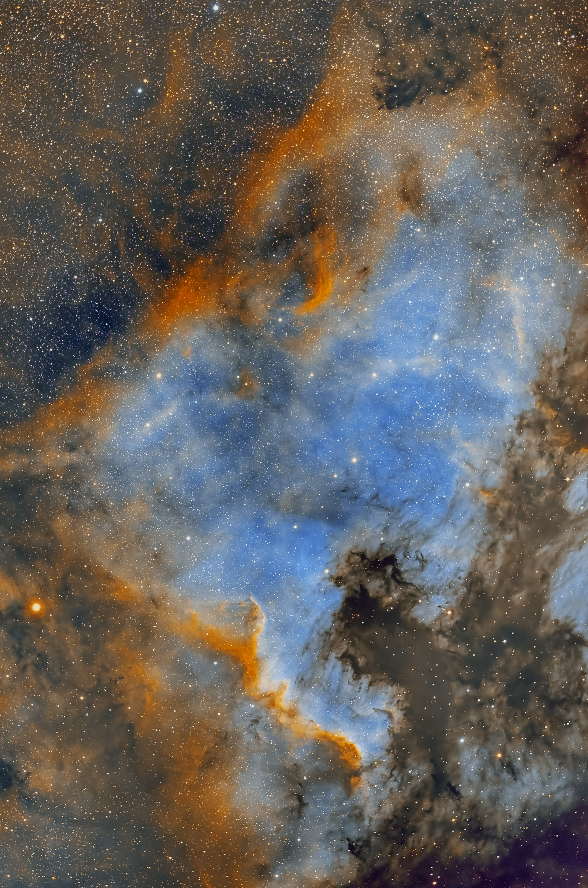 NGC7000SHO_01.jpg