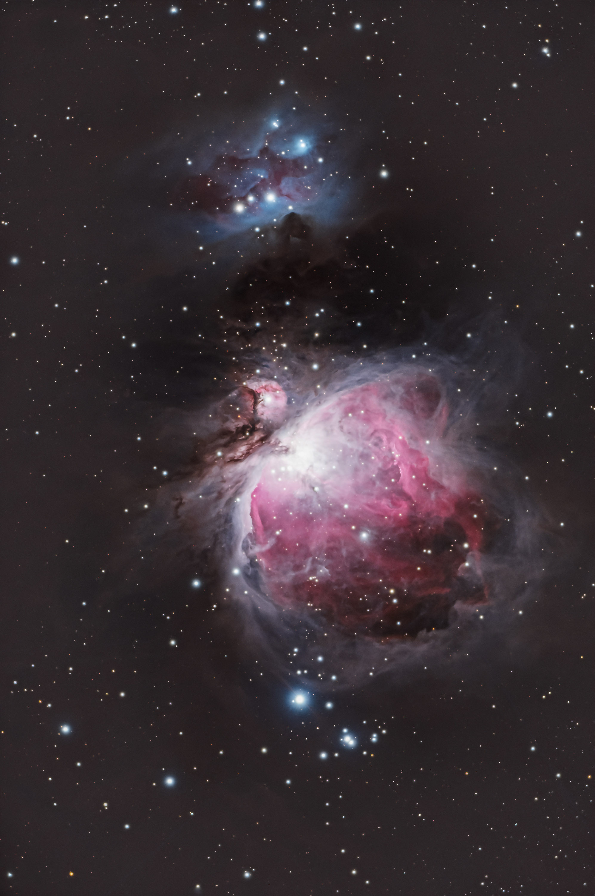 M42_20231112 copy.jpg