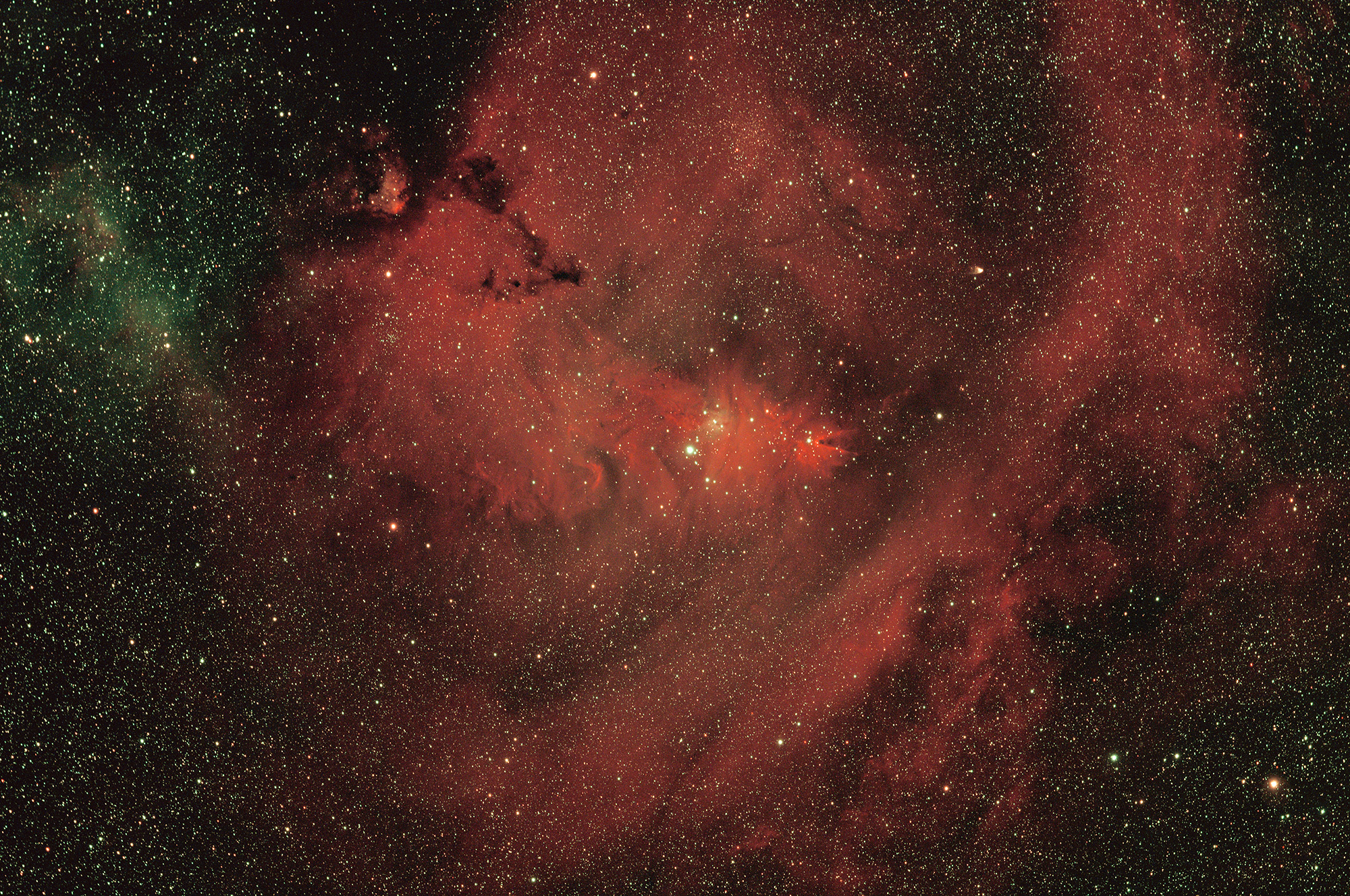 NGC2264_231120_2600MC_-20_300s_dss20-001c1w.jpg