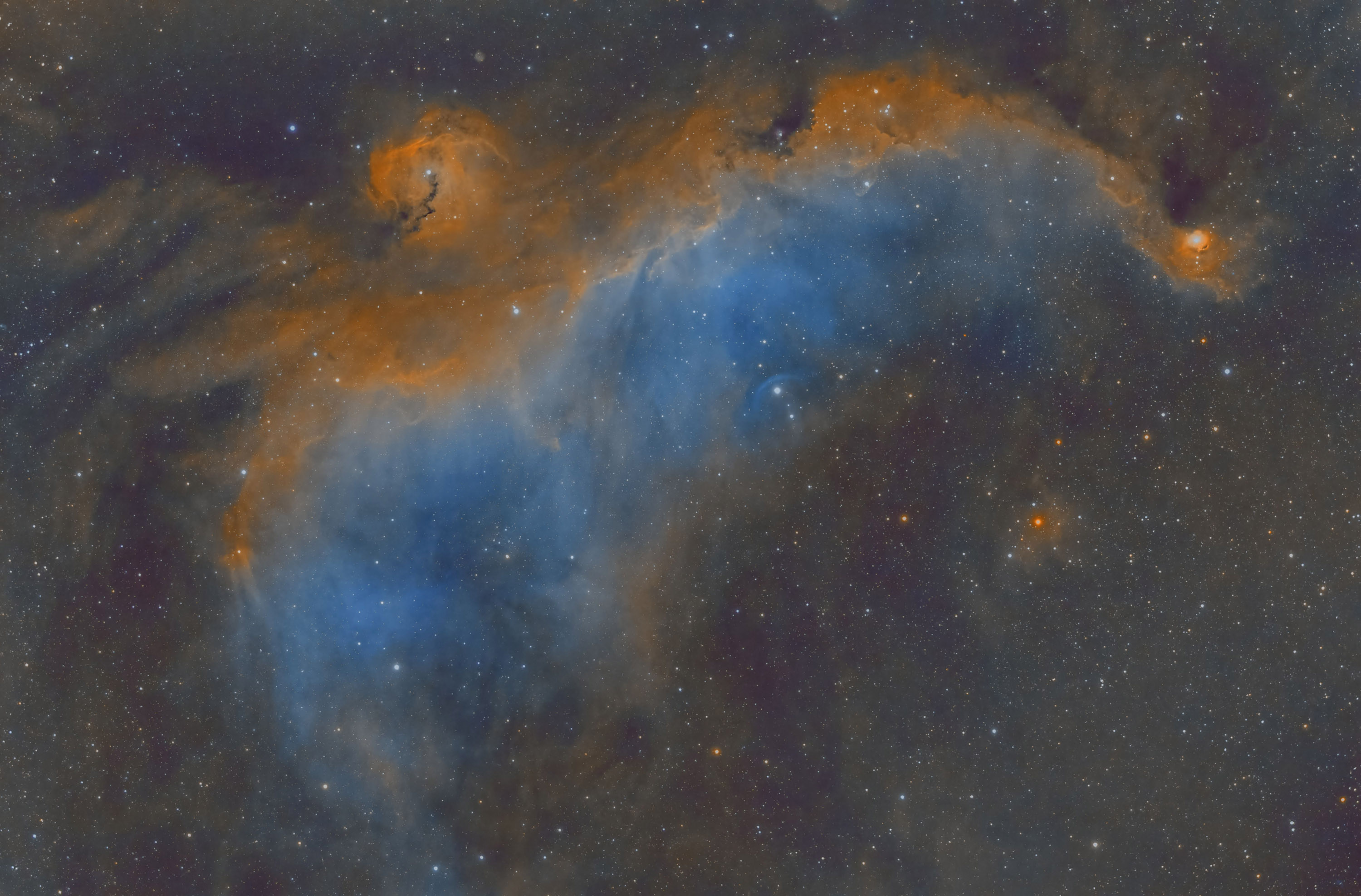 iC2177_SHO_01.jpg