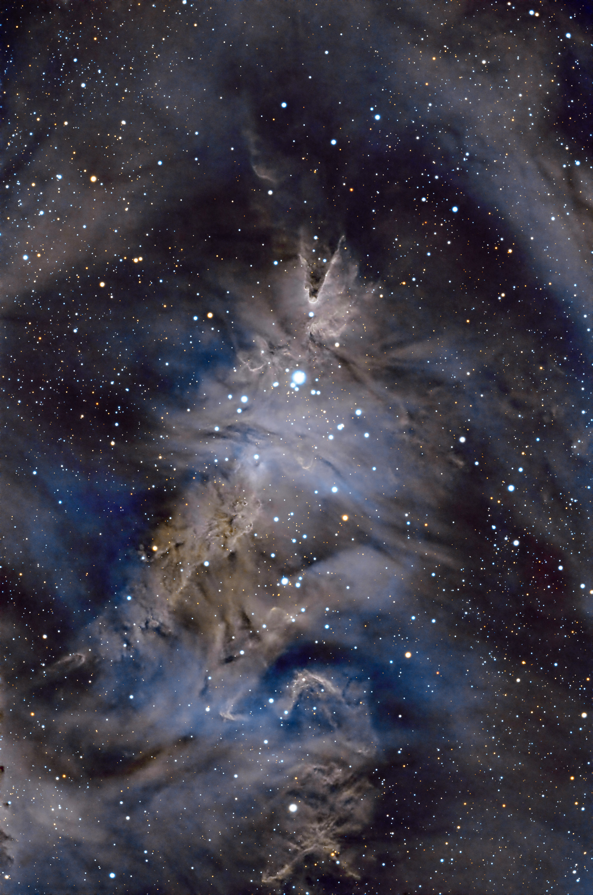 NGC2264_SHO copy.jpg