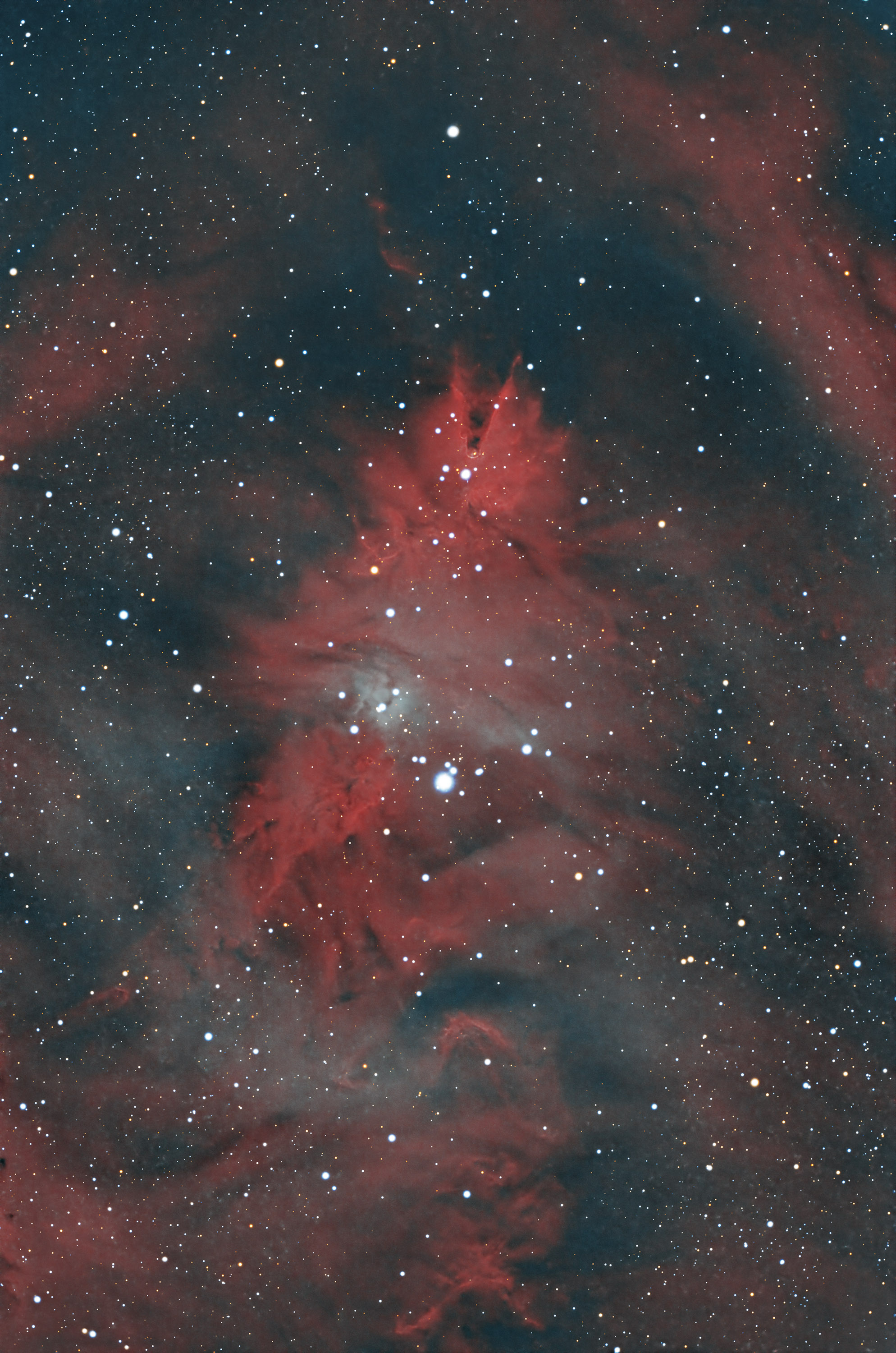 NGC2264_HOO copy.jpg
