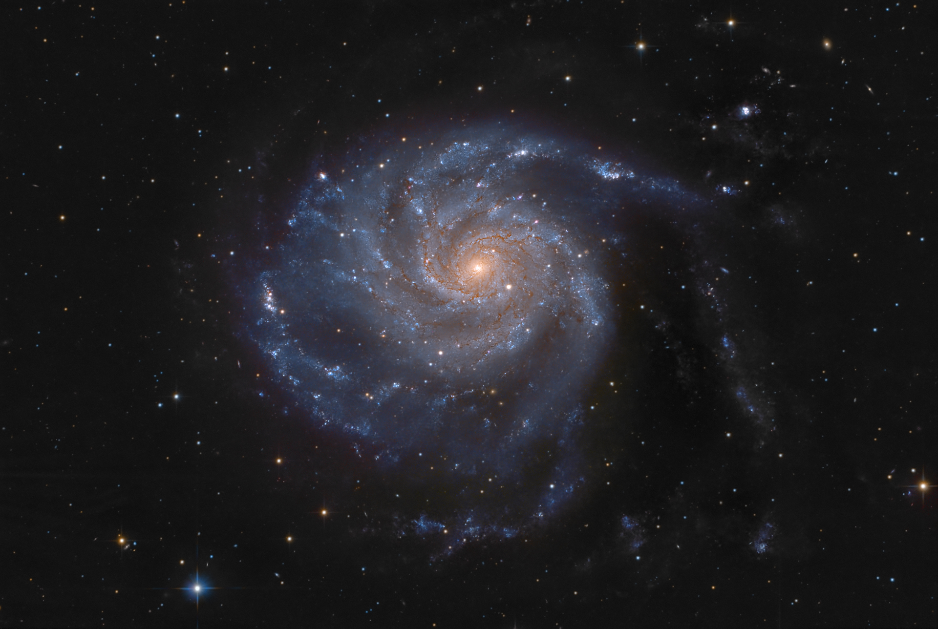 m101(5).jpg