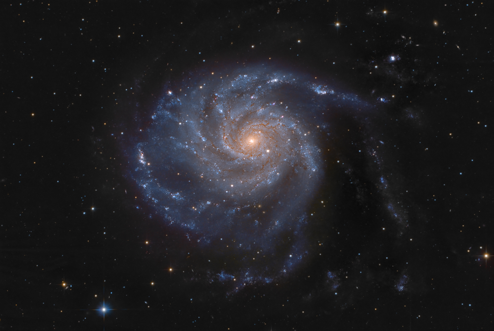 m101(5).jpg