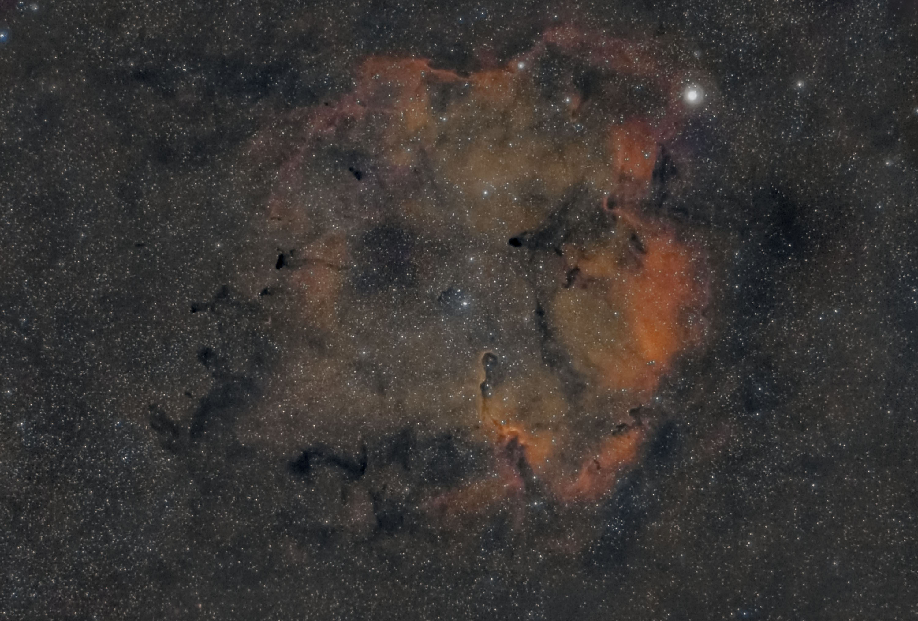 IC1396_01.jpg