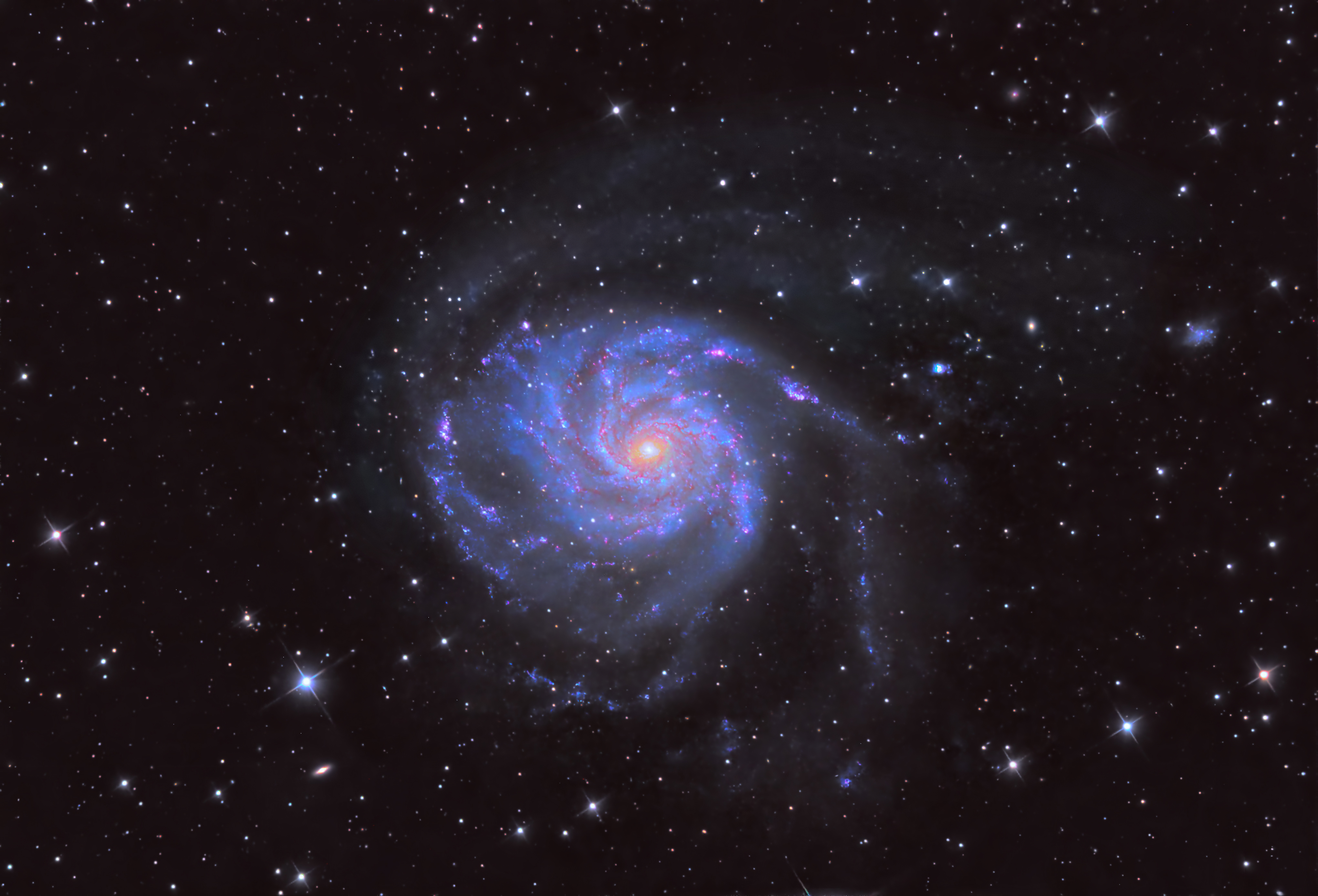 M101-JPG3.jpg