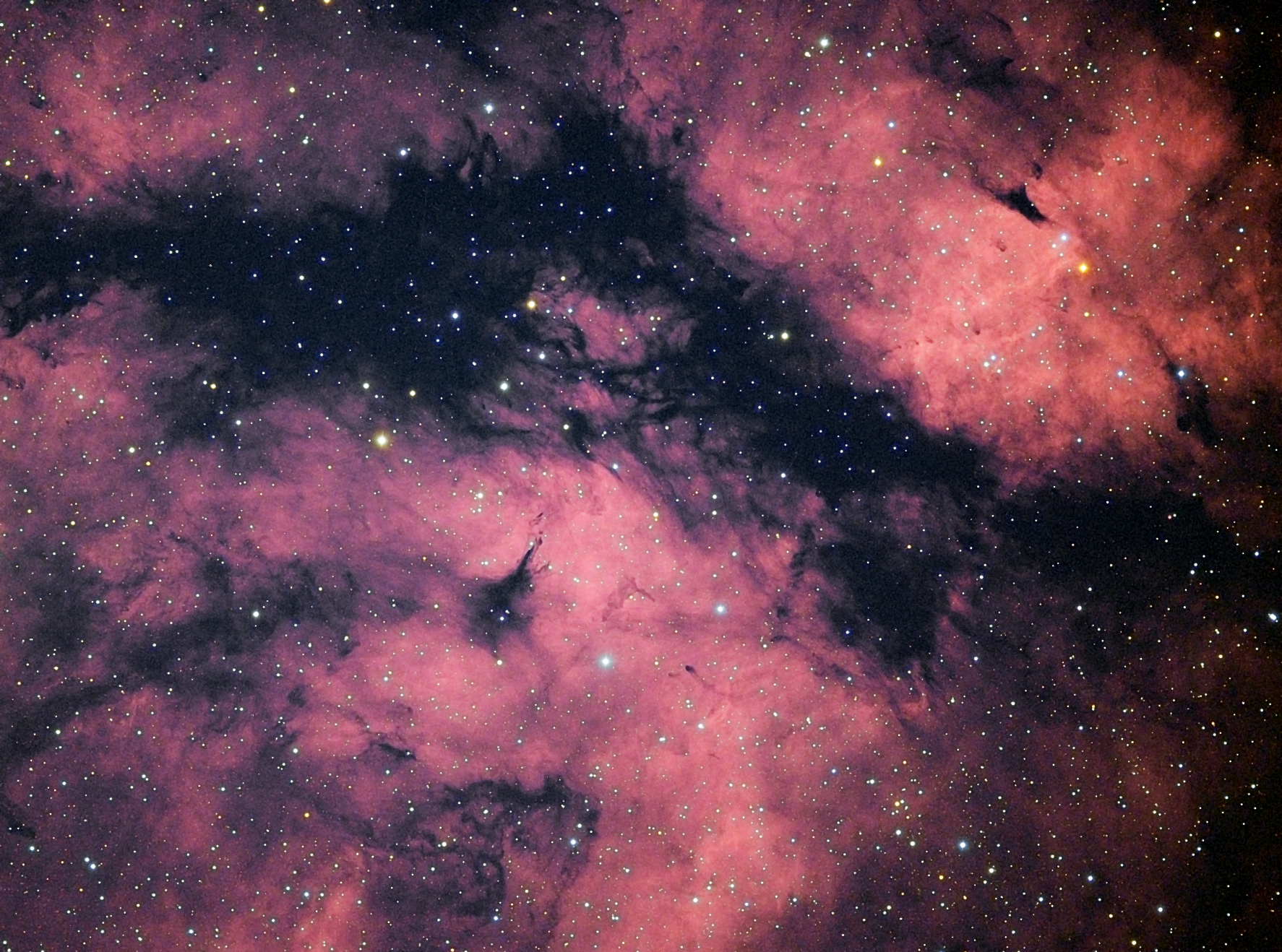 IC1318.jpg