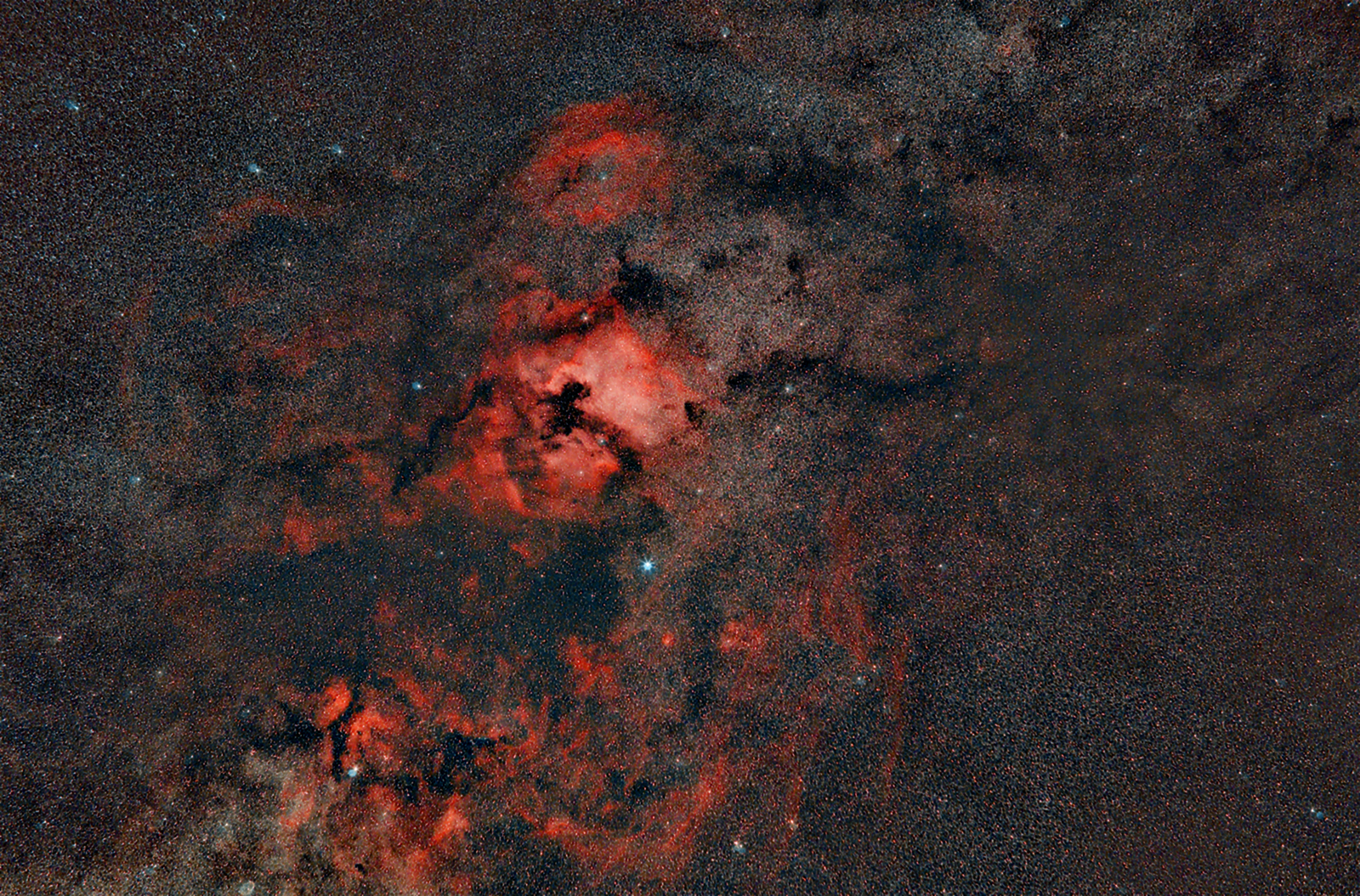 ngc7000_2018_10_02.jpg