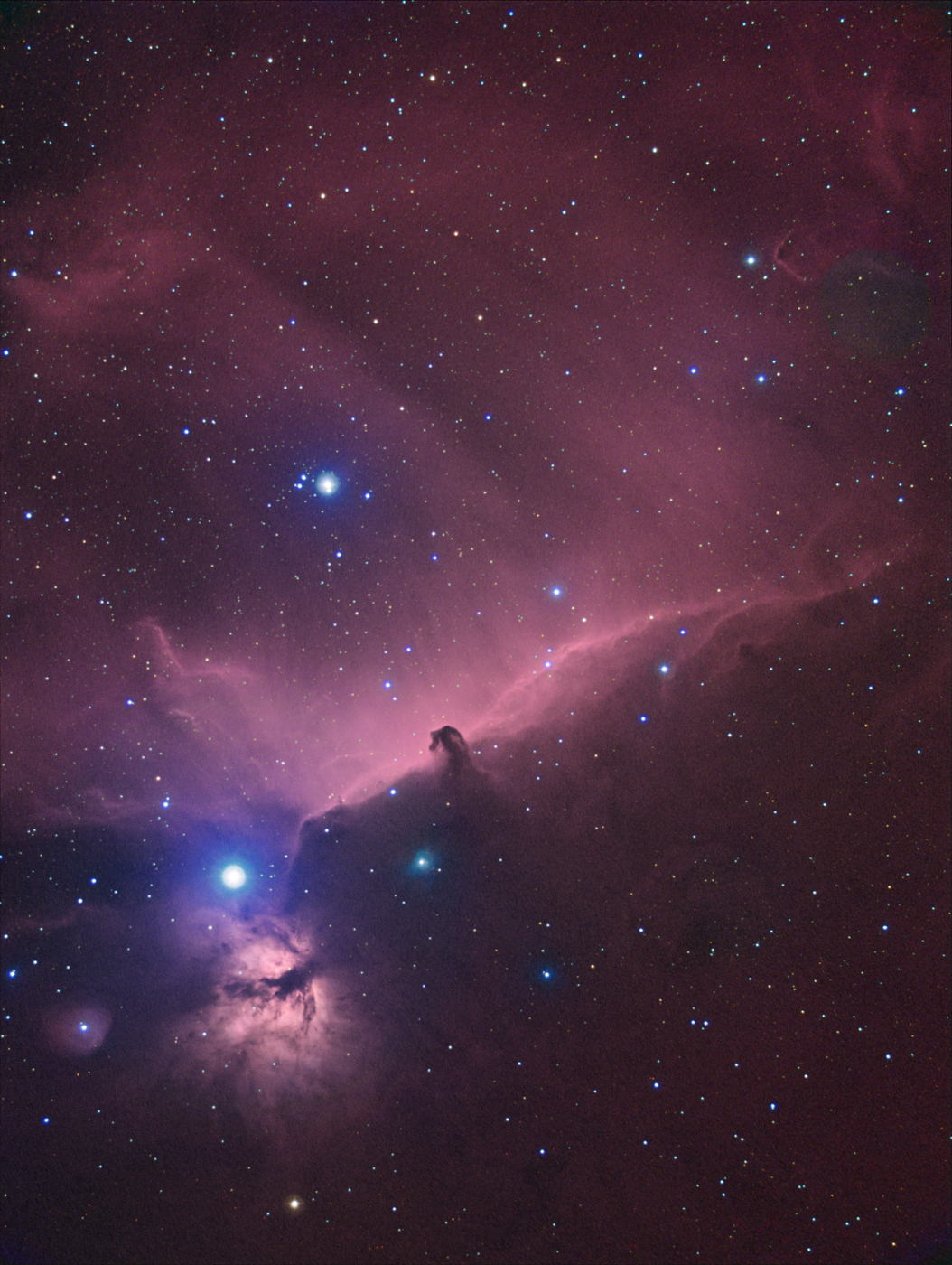 20111002-ngc2024.jpg : IC434, NGC2023
