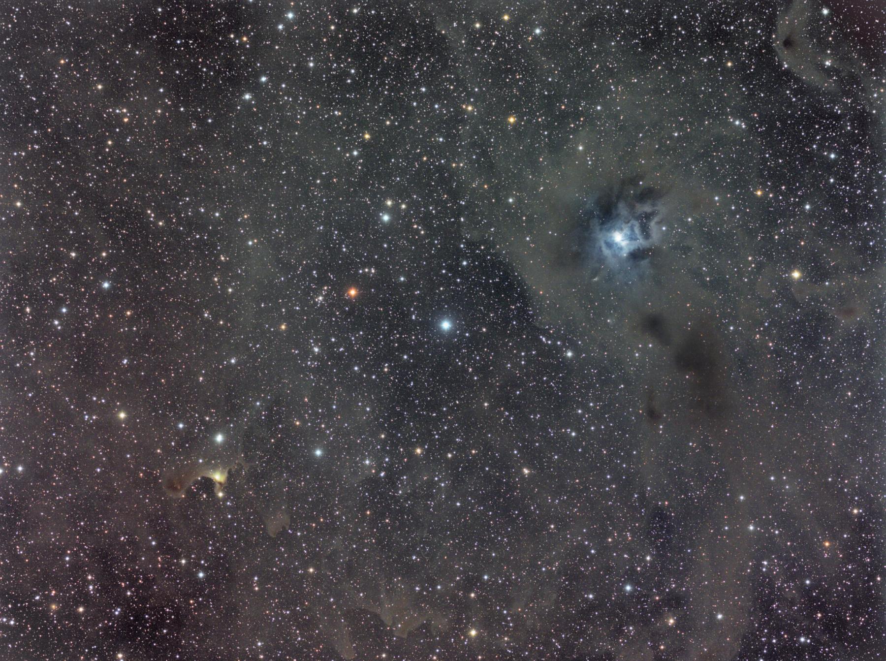 64beb61cea62938d3b6fa7af32d74171.jpg : Iris nebula & Vdb 141