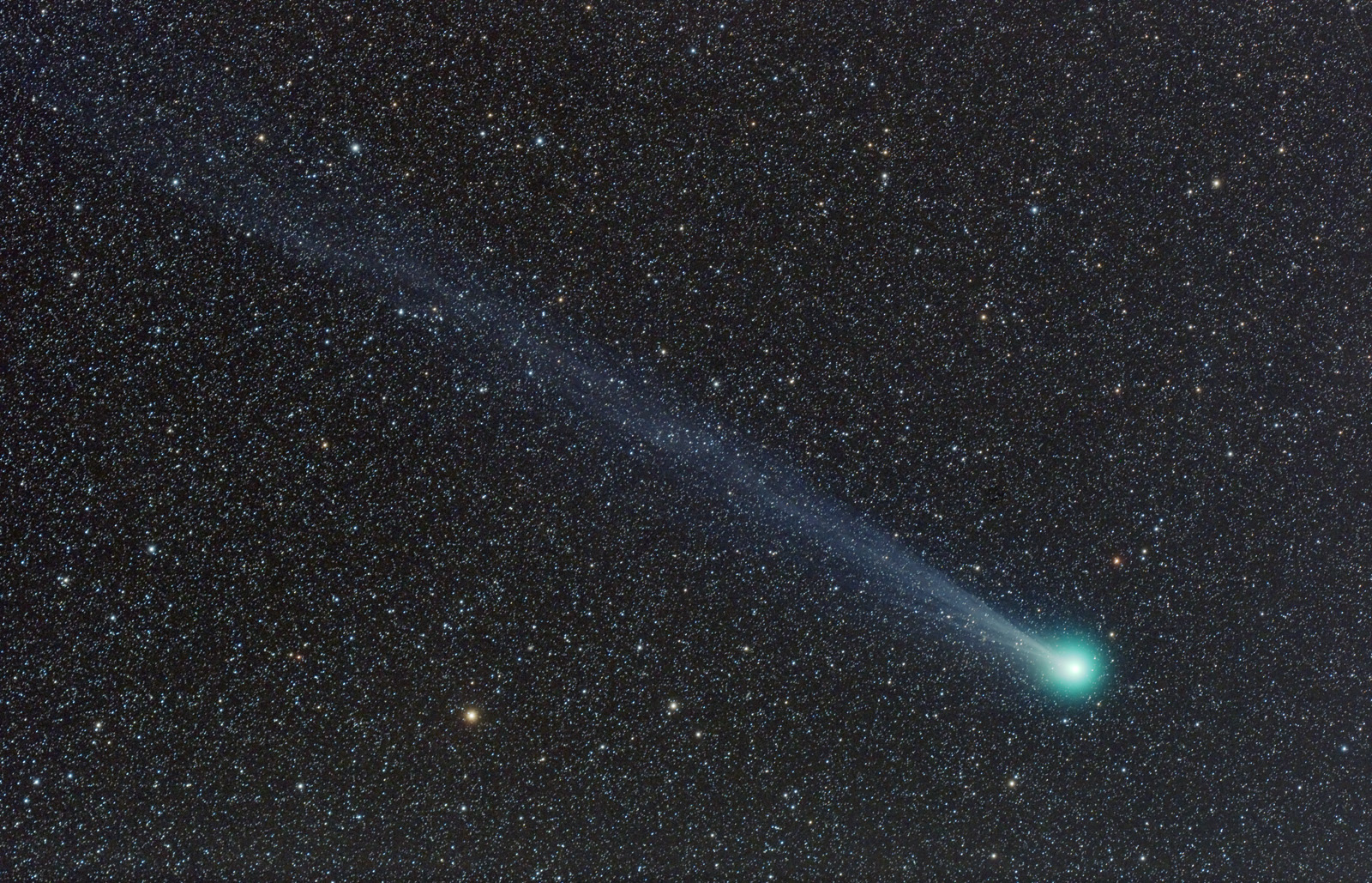 Lovejoy2014Q2_20150208_수피령_WO-STAR71_6D_P2_ISO3200_2mX10_1600.jpg