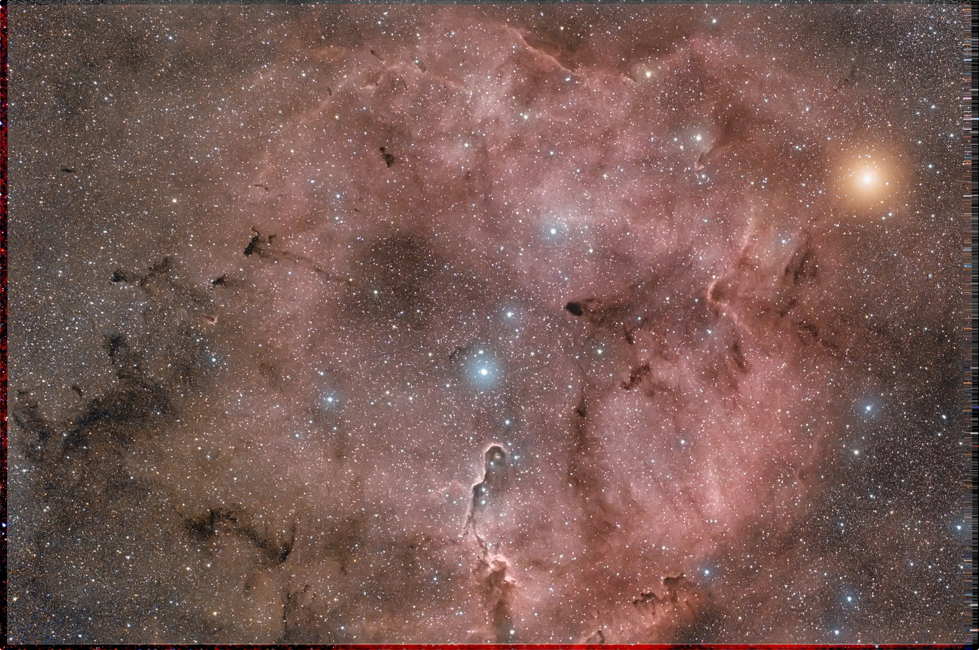 ic1396_vdB142.jpg