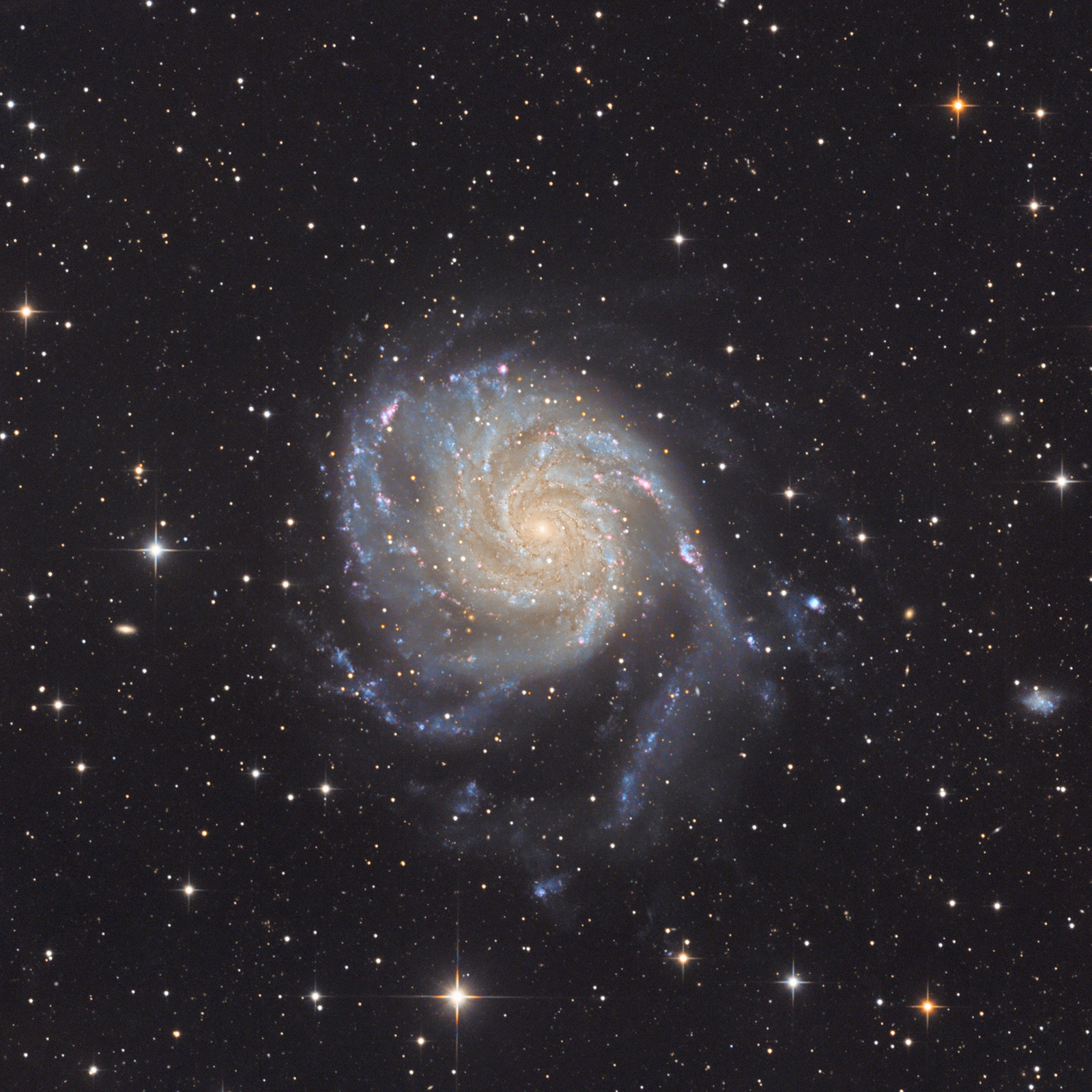 m101_LRGB_1600px.jpg