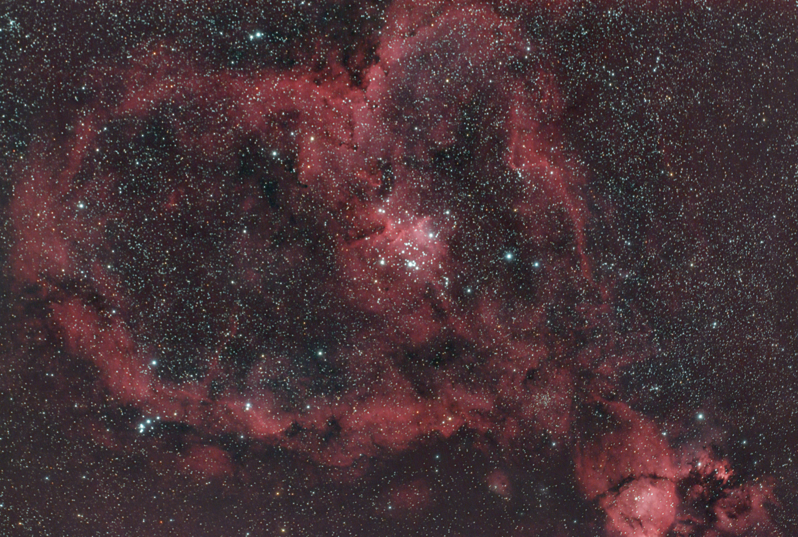 Ic1805_3.jpg