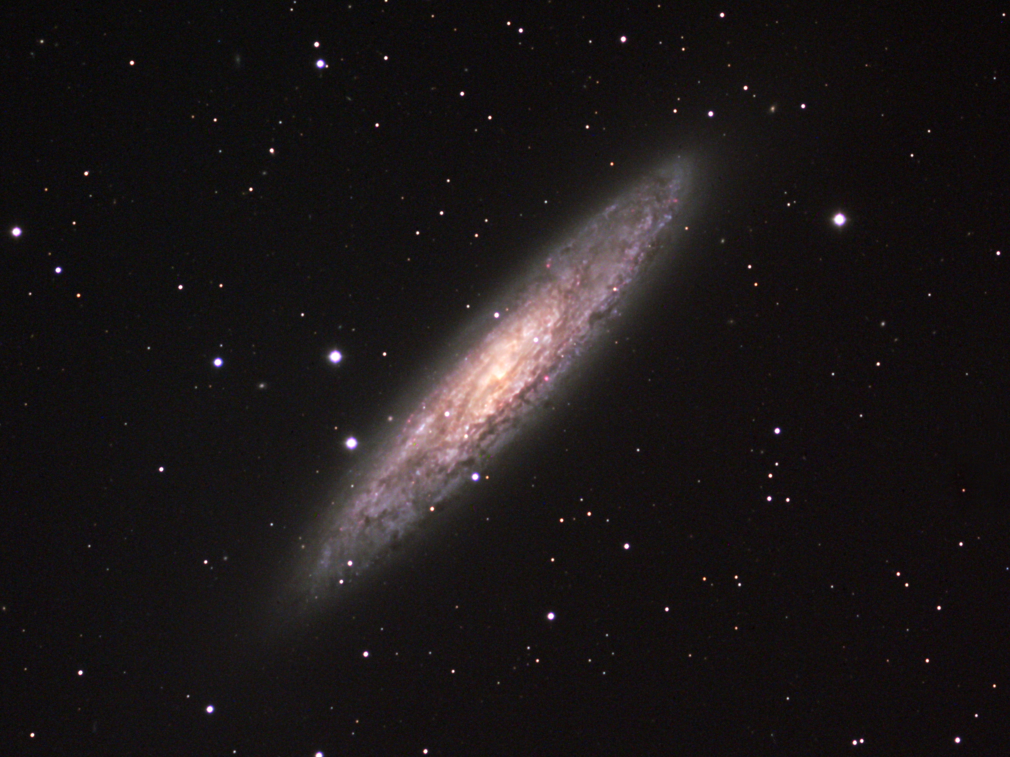 ngc253_crop2000.JPG