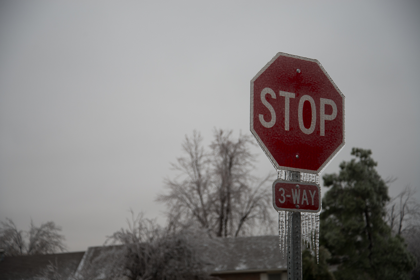 20131221-DSC_2083.jpg