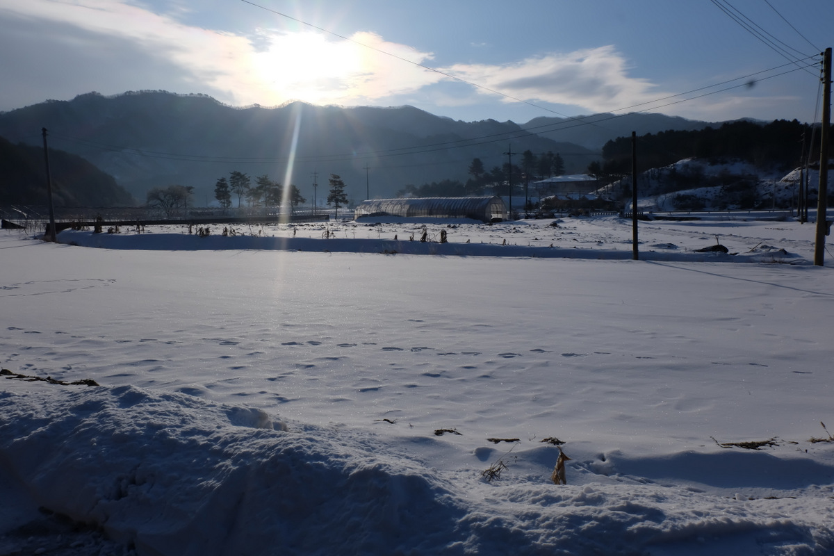 DSCF1839-001.JPG