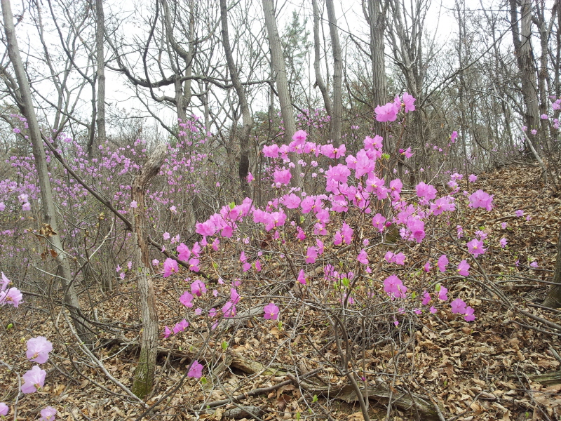 s-20120420_141545.jpg
