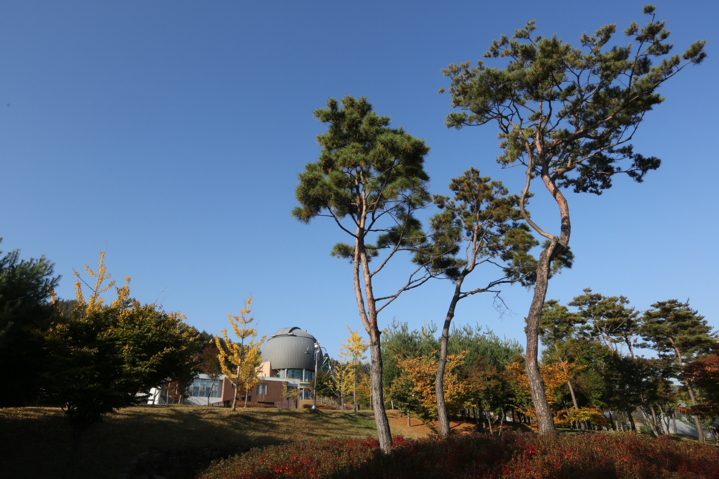 ss_8P6B5894.JPG
