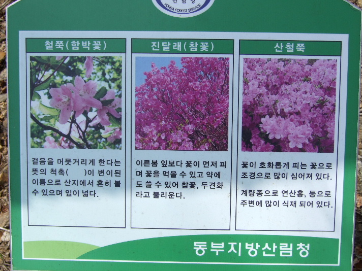 DSCF7517.JPG