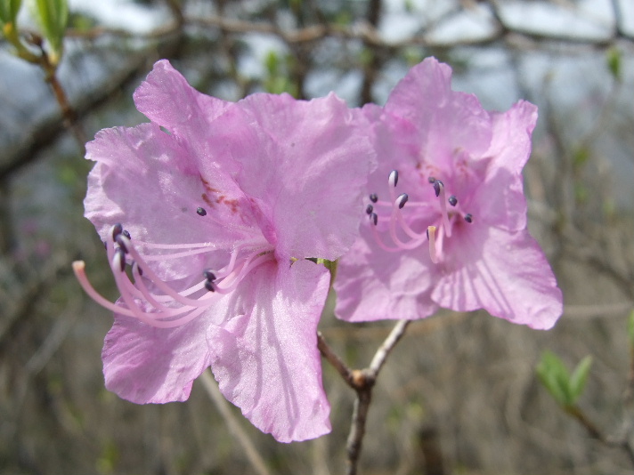 DSCF7514.JPG