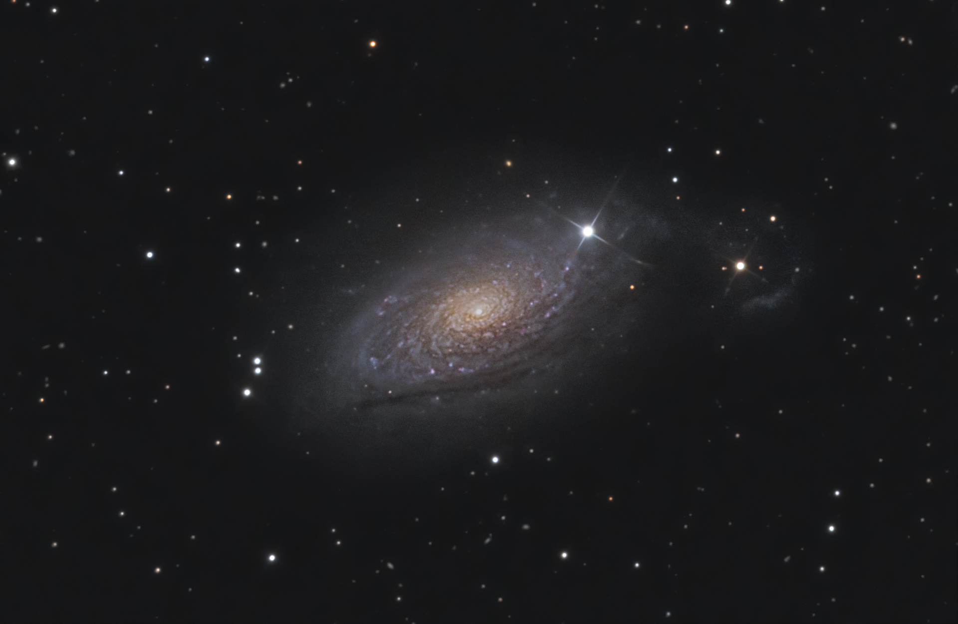 m63.jpg