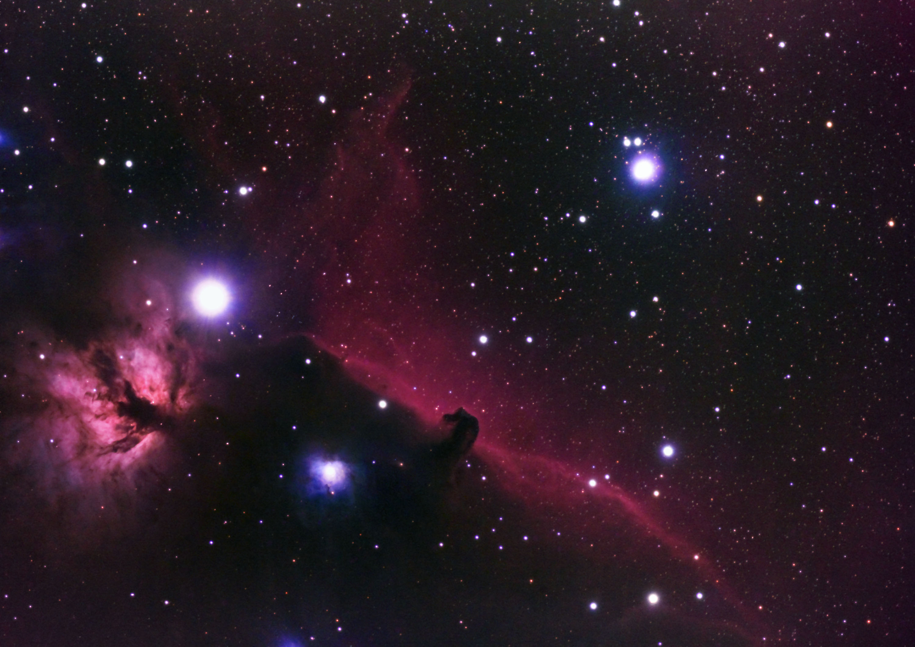 iC434.jpg