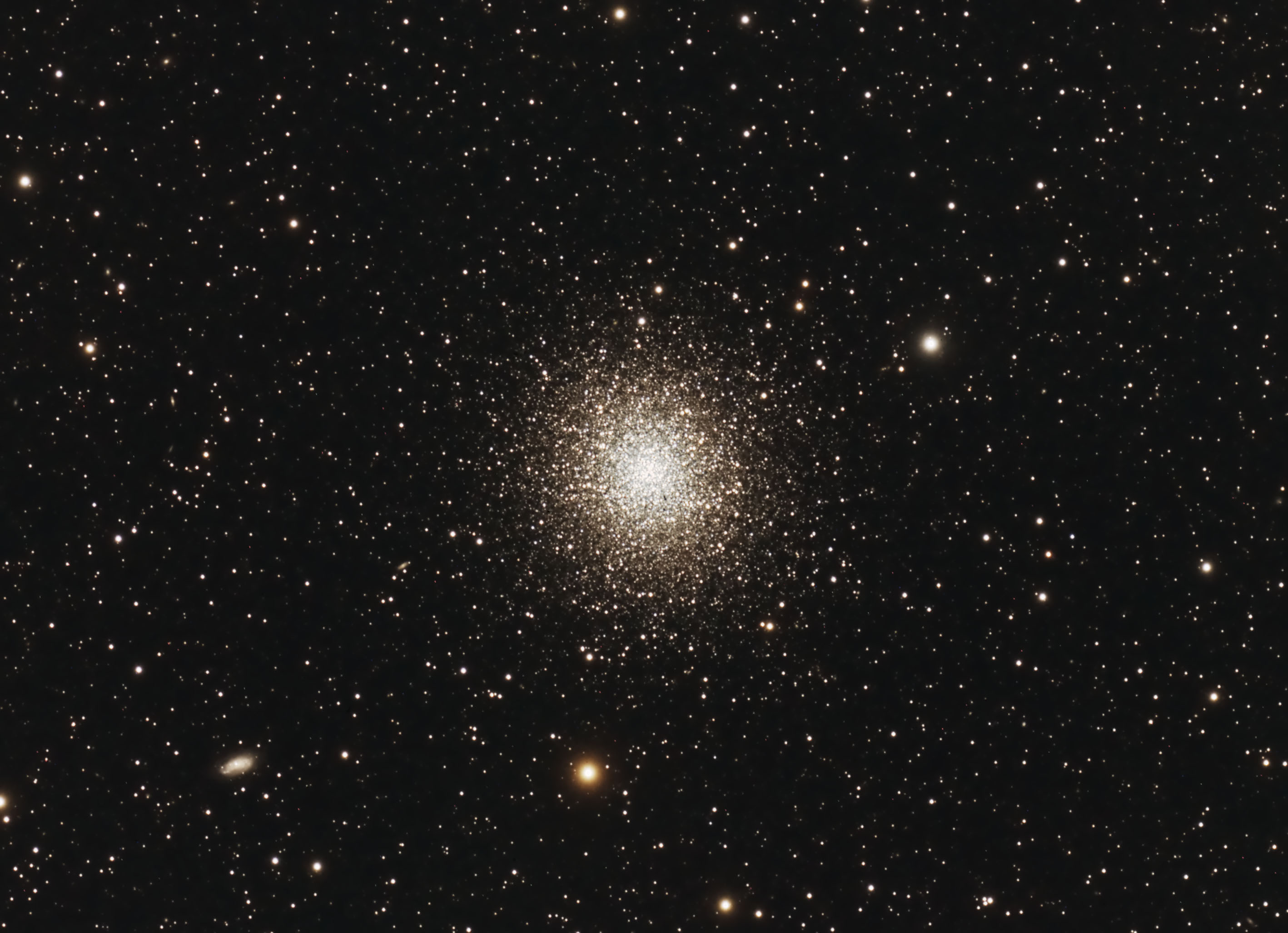 M13.jpg