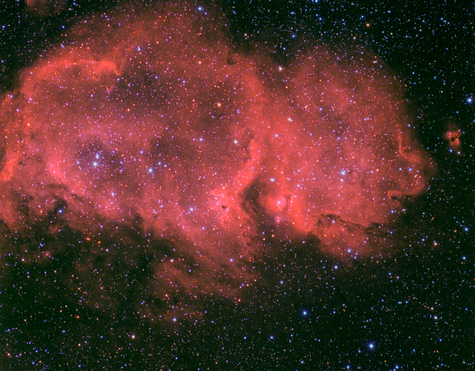 ic1848.jpg