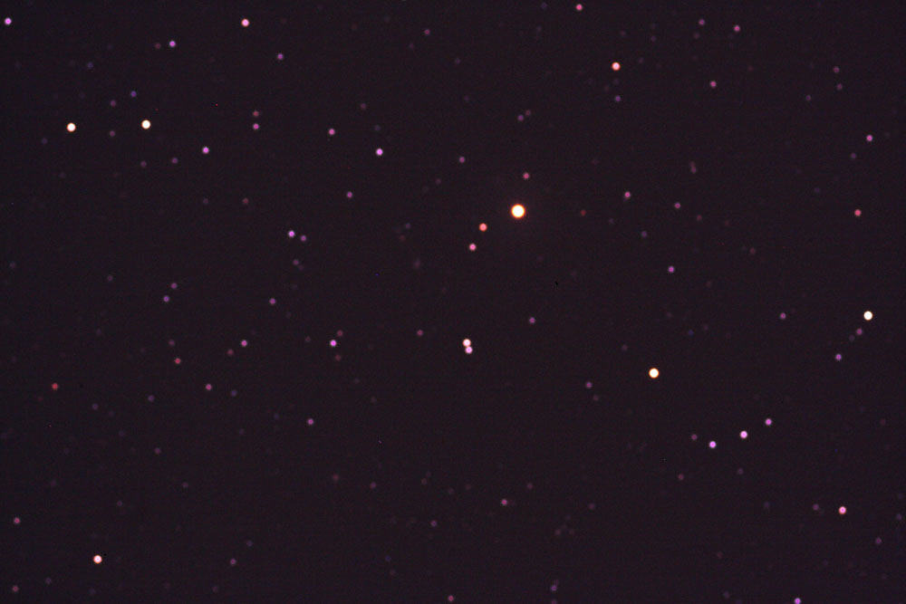M40-130113-P105-IMG_8563s.jpg