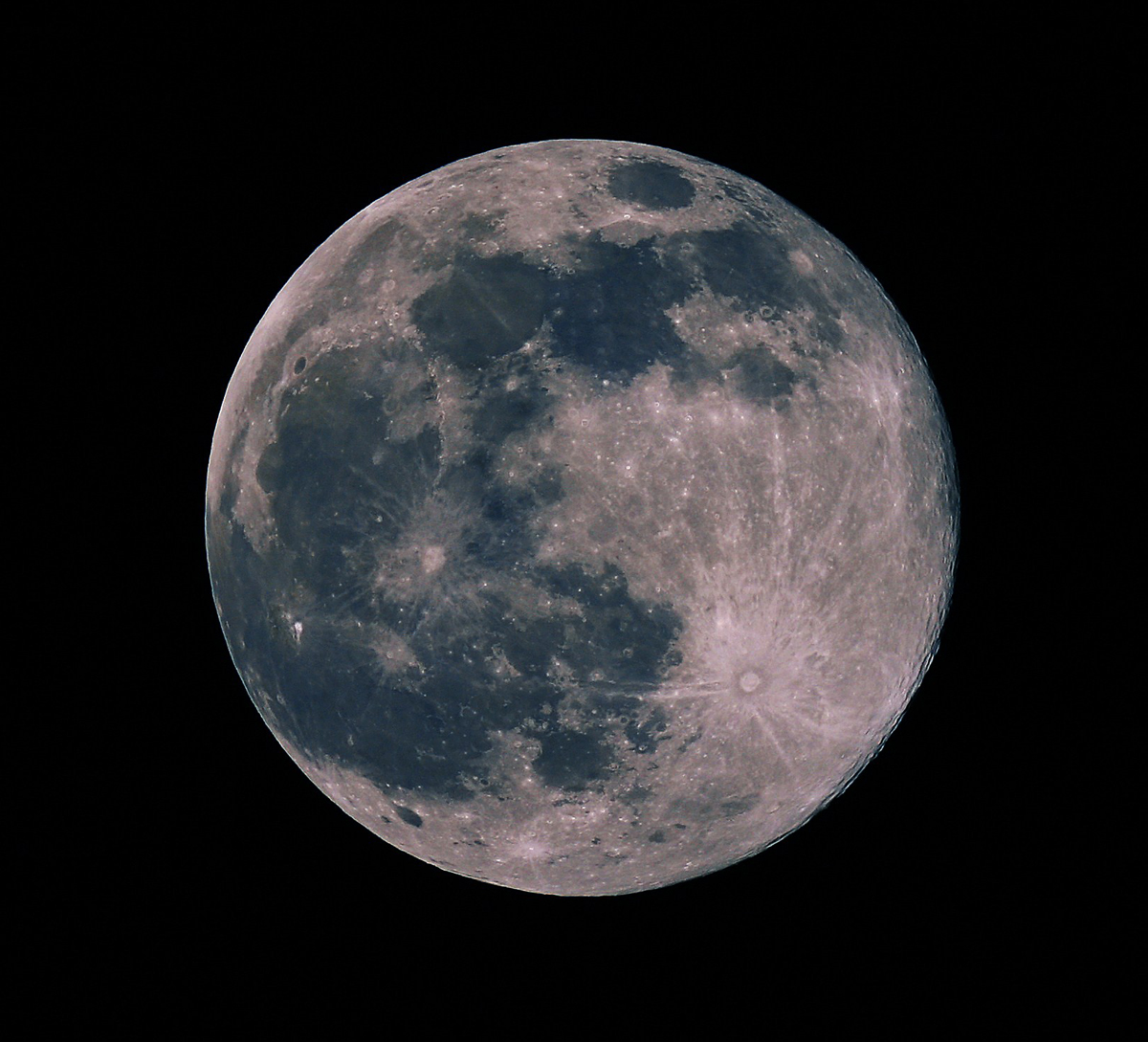 moon-sharp3_f-re-crop.jpg