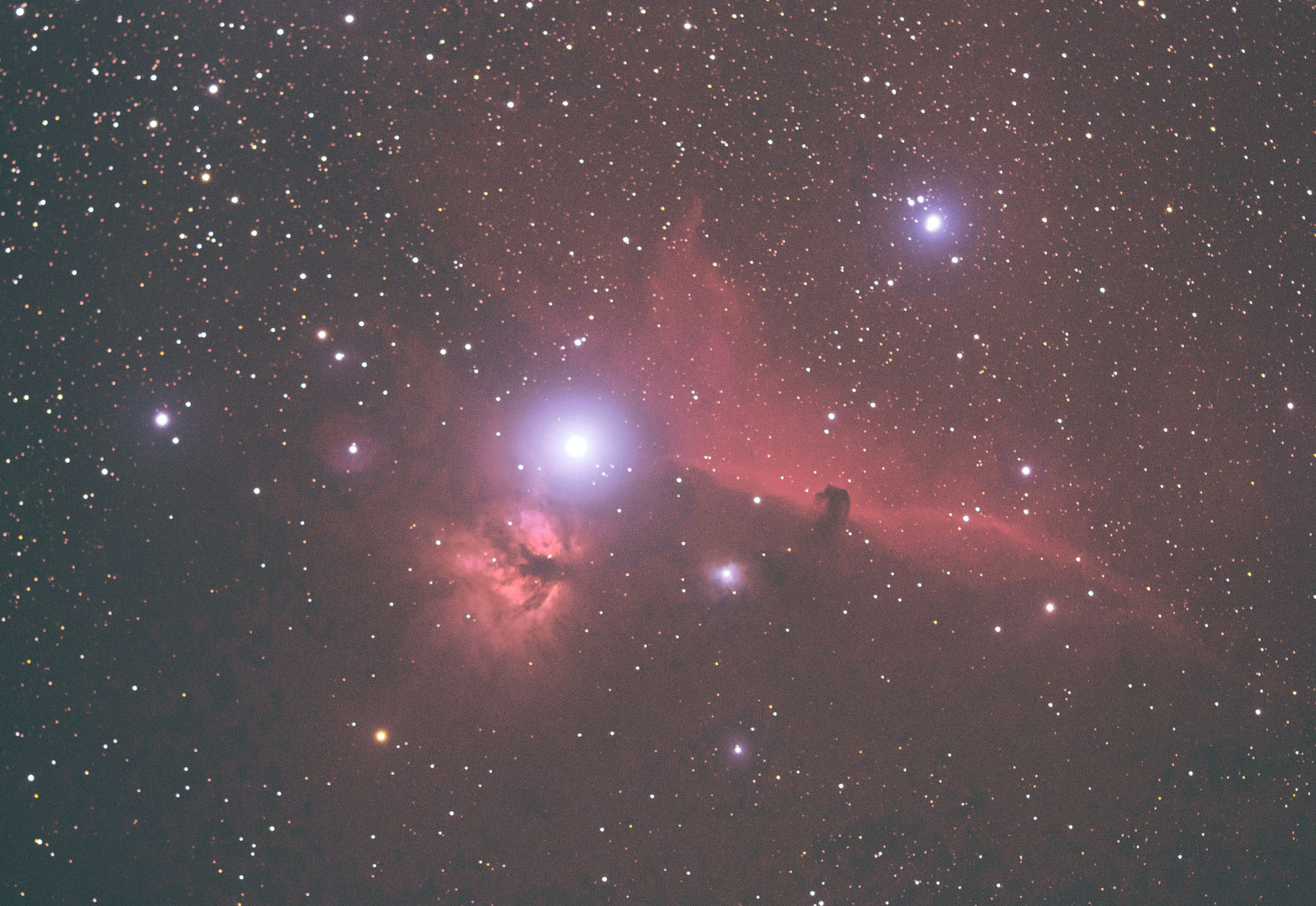 Horsehead_20120127_2.jpg