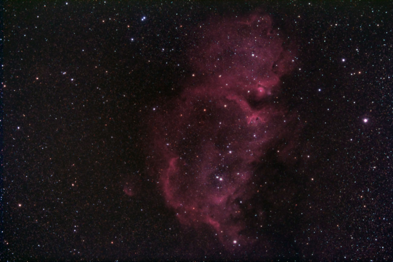 ic1848_1.jpg