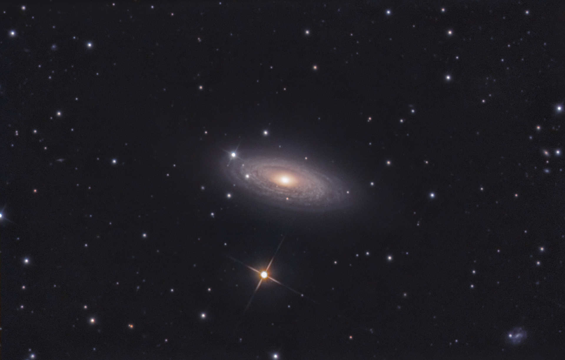 ngc2841.jpg