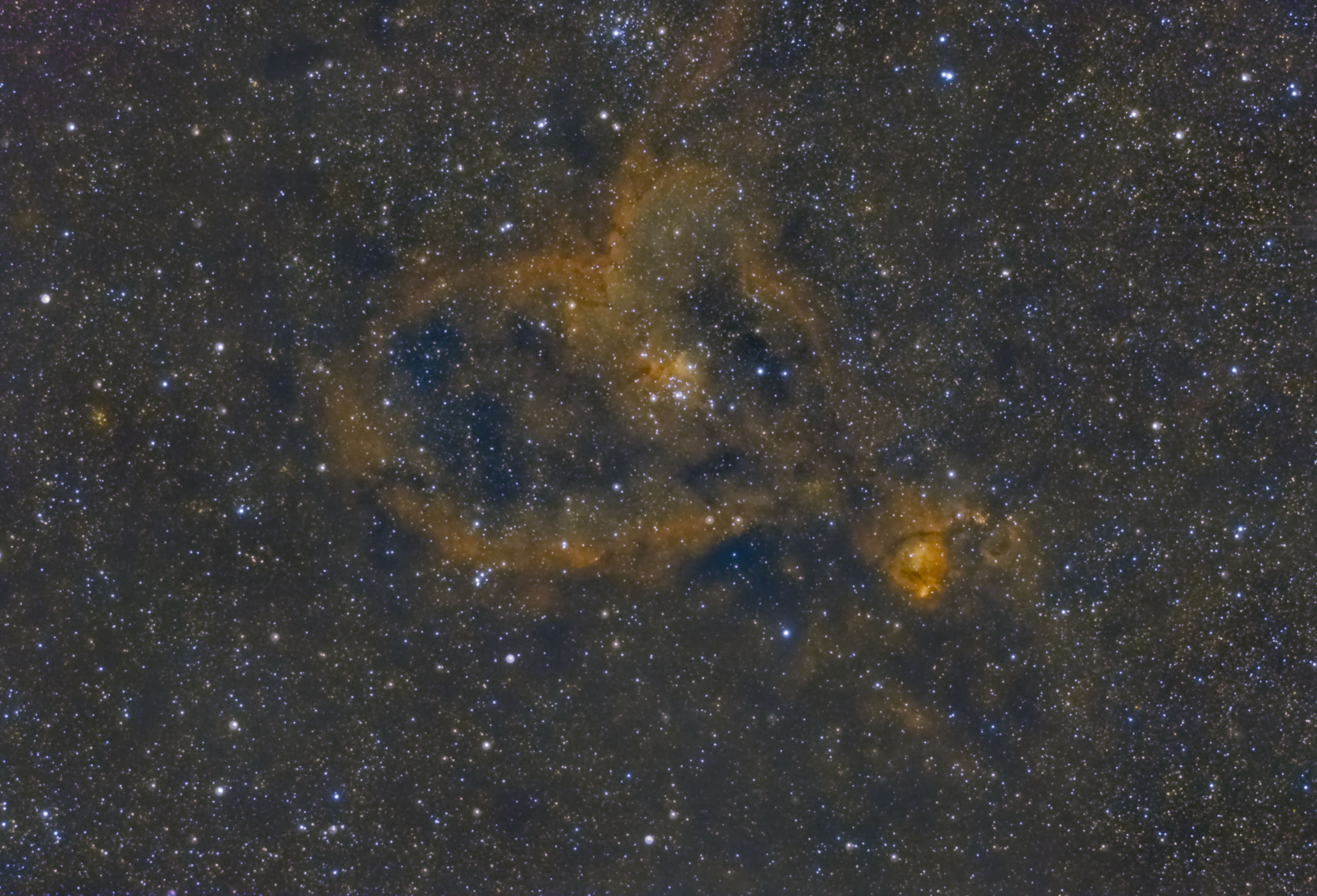 ic1805_1.jpg