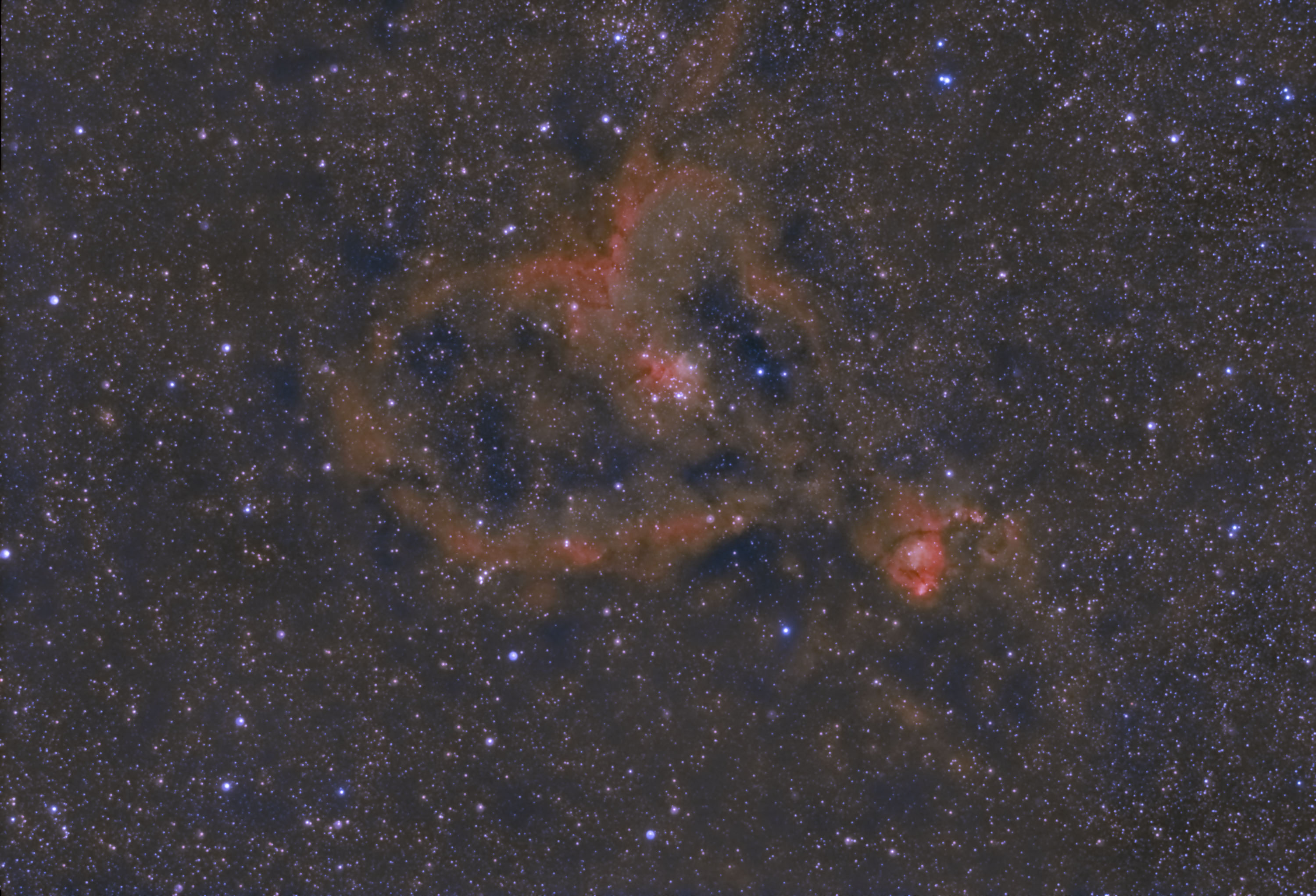 ic1805_600s_1.jpg