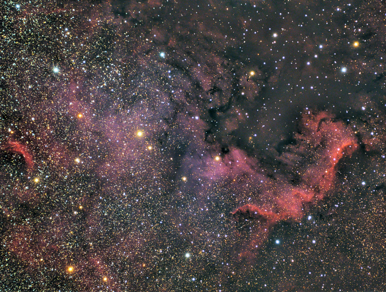 north_american_nebula_star_resize.jpg