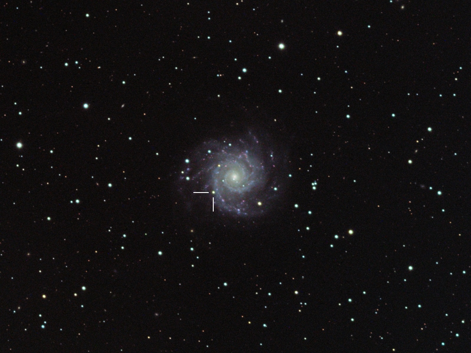 M74_Supernova 2013EJ.JPG