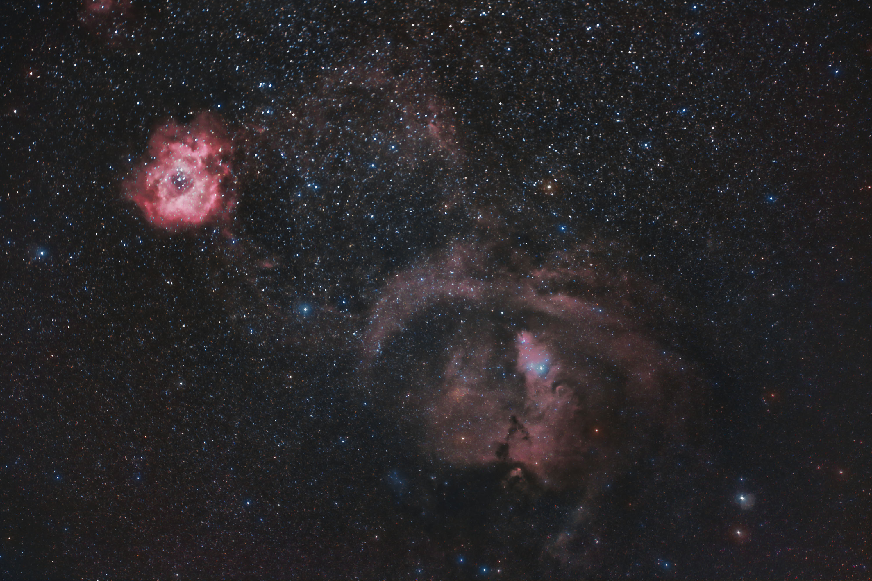NGC2244NGC2264_1.jpg