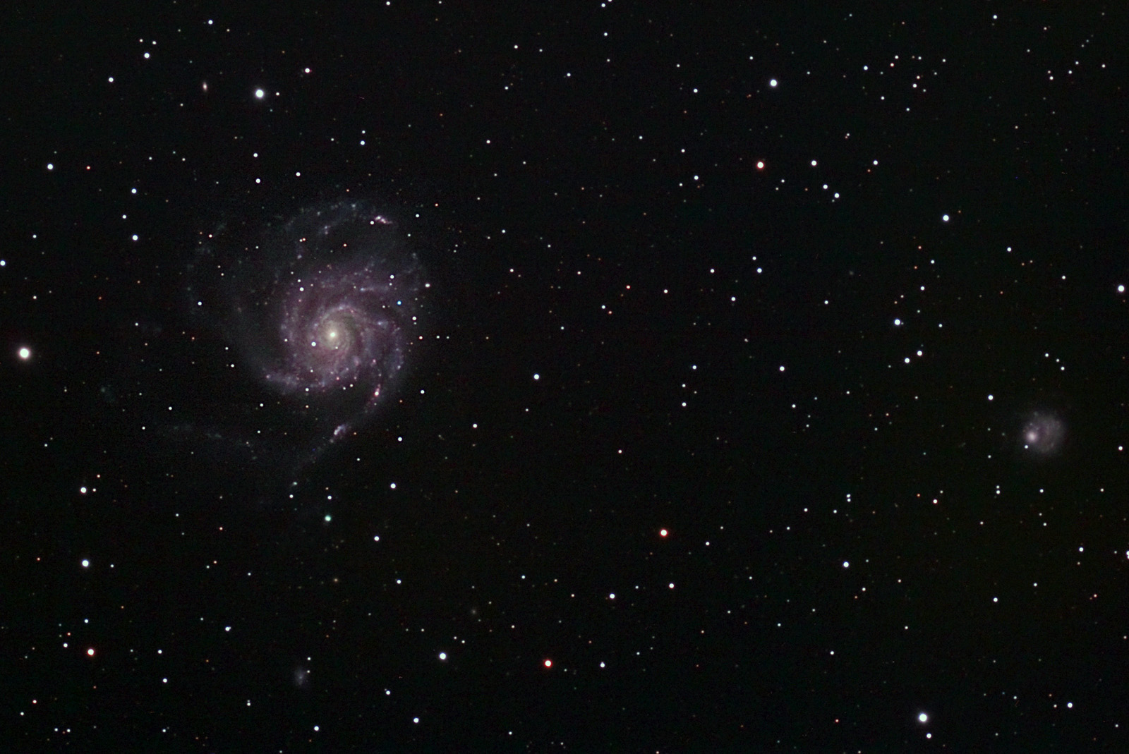 m101-color.jpg