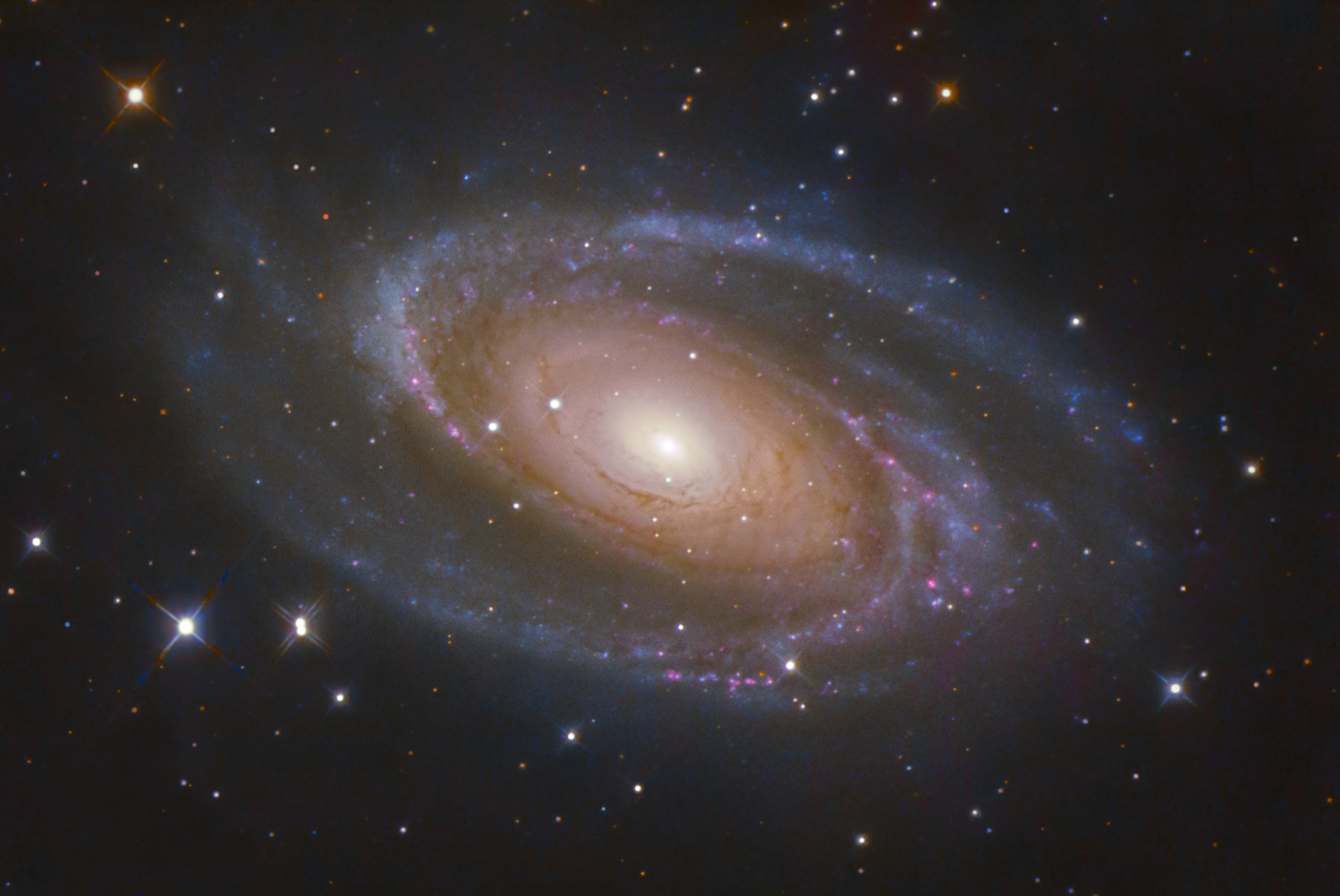 m81.jpg