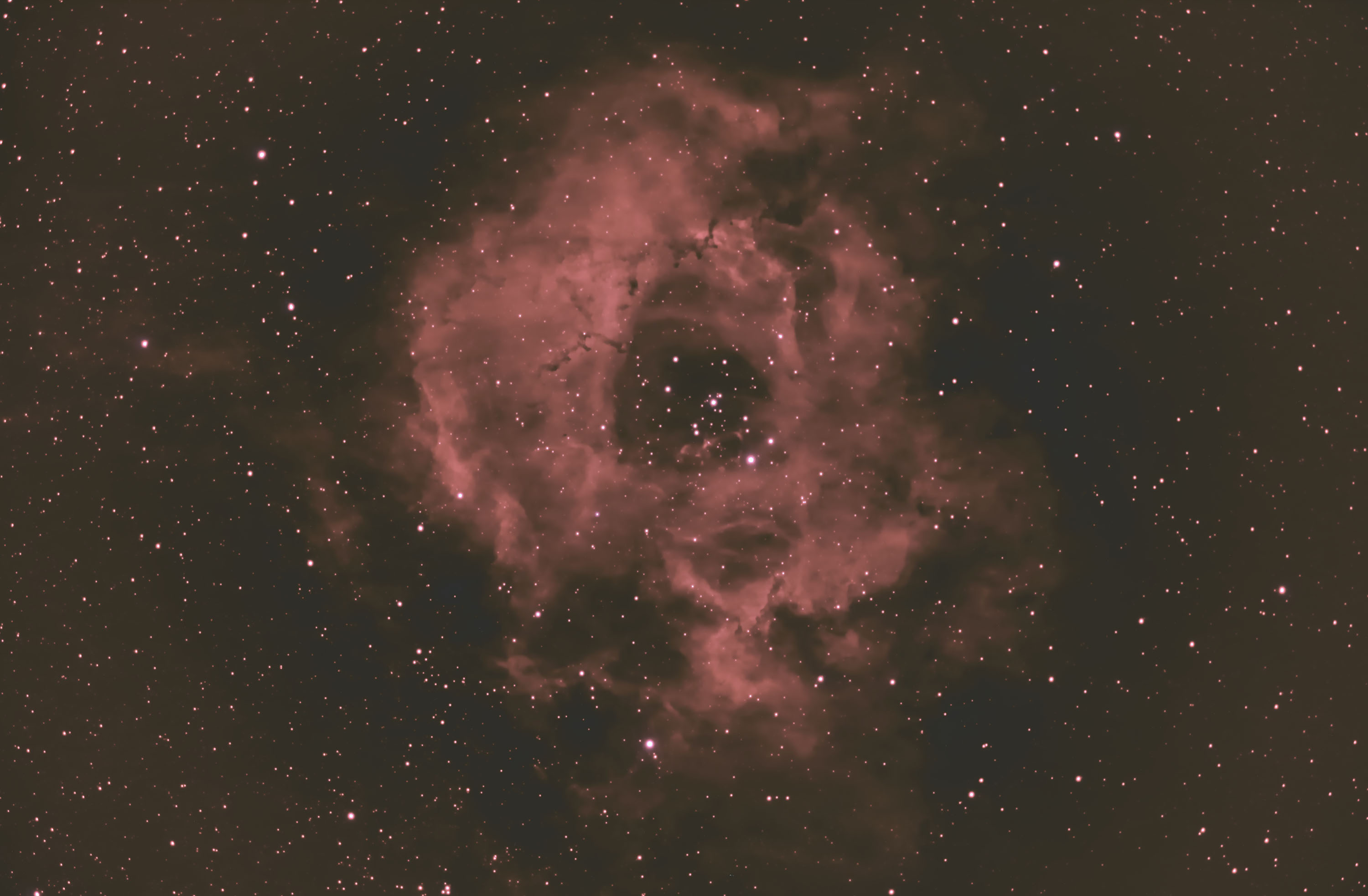 NGC2244_12.jpg