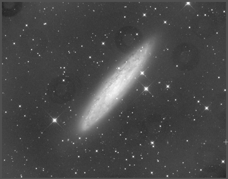 ngc253_L.jpg