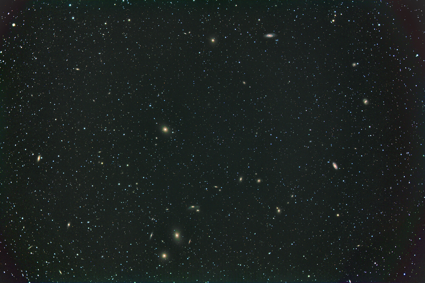 20150321_Vigor cluster.jpg