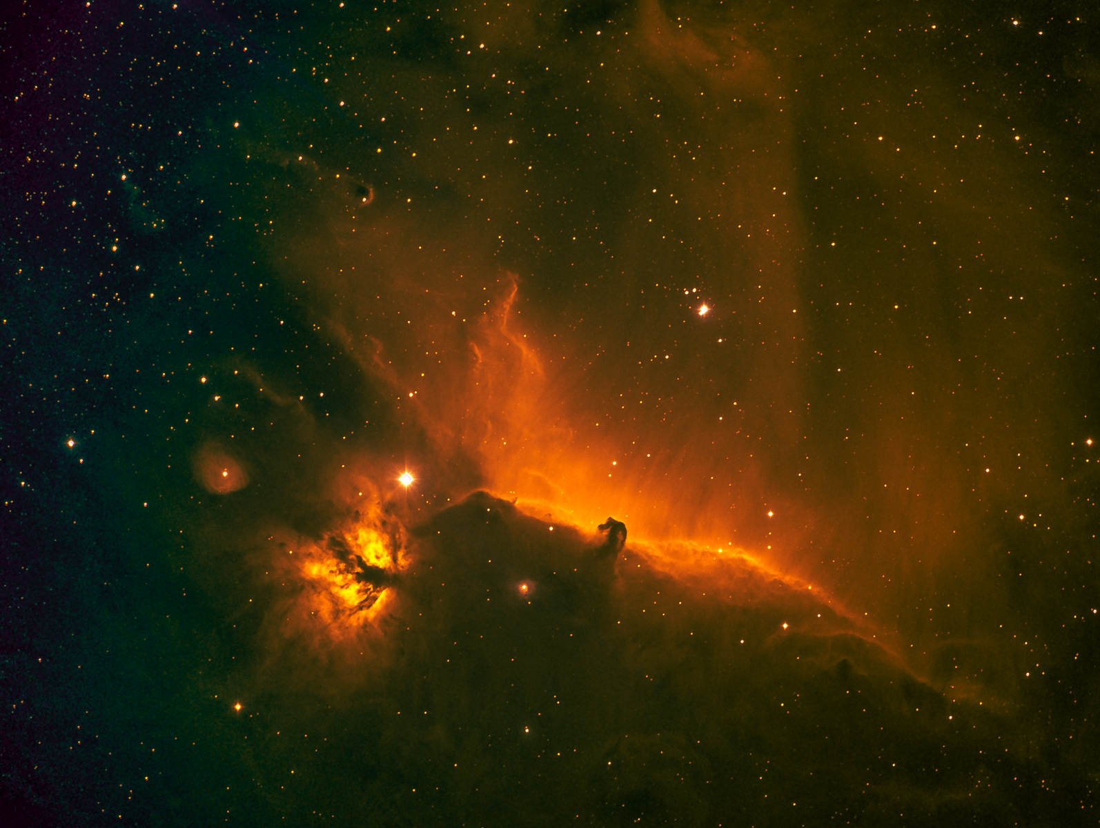 NGC-2024--25-XX0-RGB-GREEN.jpg